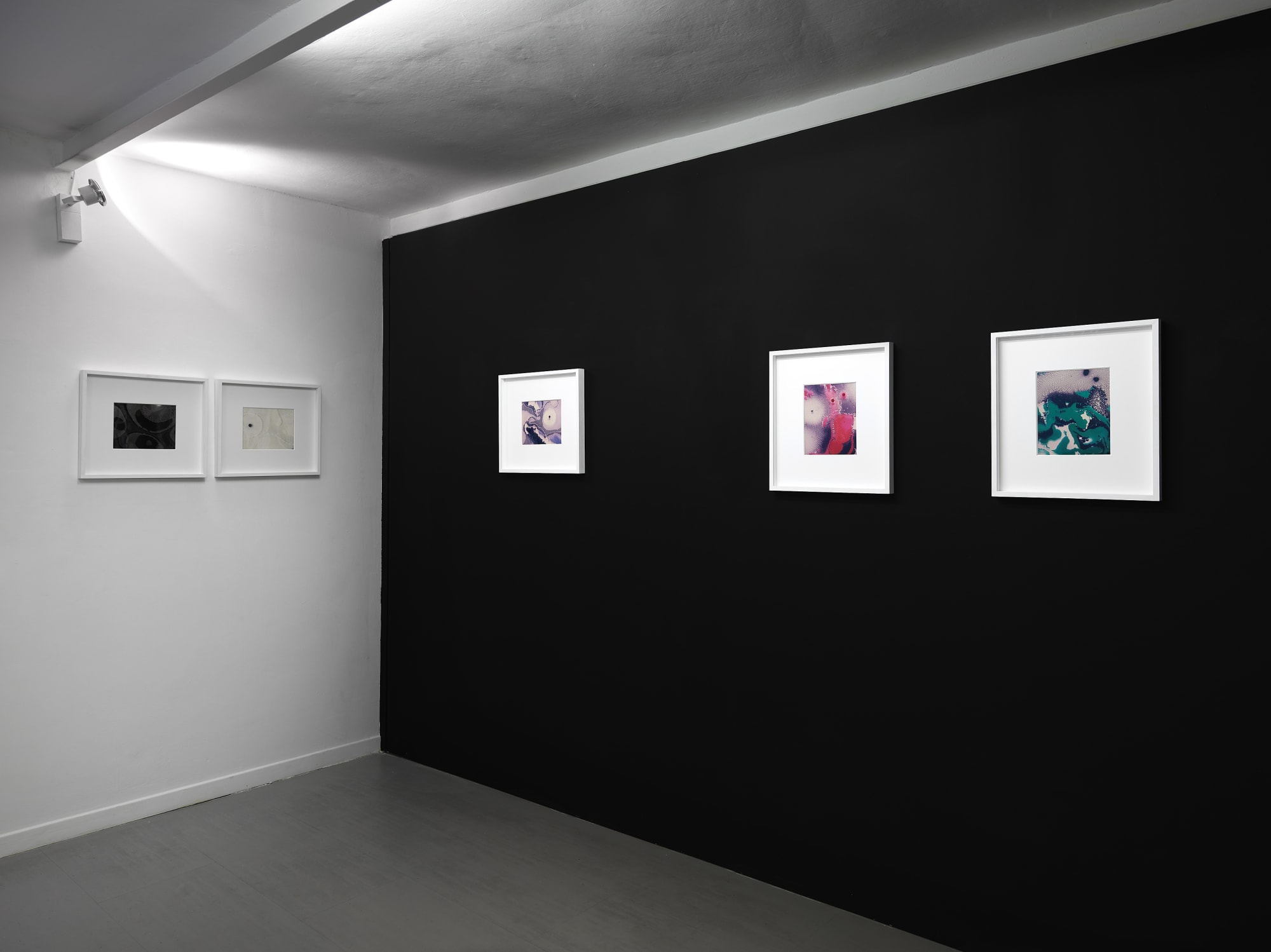 Beatrice Pediconi, Dimensioni Variabili, 2016