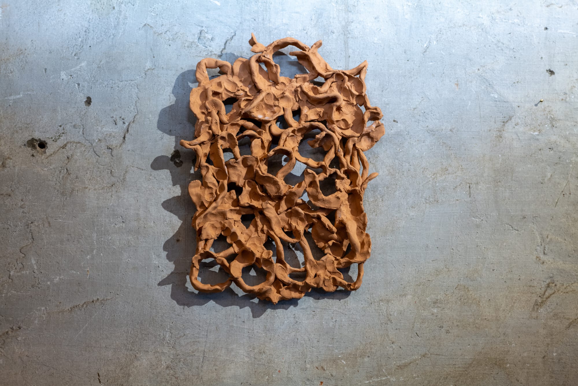 Installation view | Nazzarena Poli Maramotti, Domestica Selvativa, curated by Silvia Bottani, Villa Rospigliosi Ph Claudio Seghi Rospigliosi