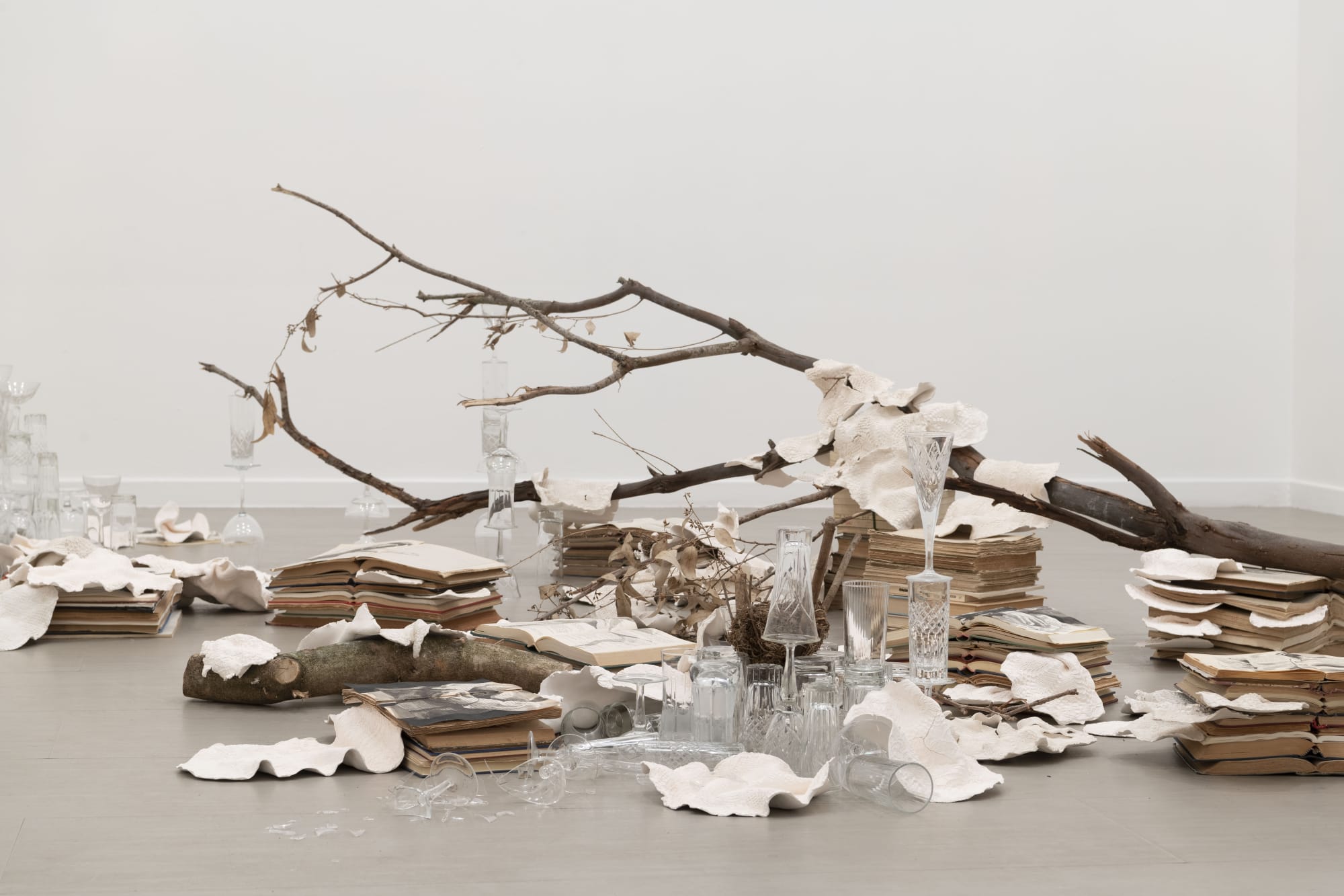 Ekaterina Panikanova, Attraversando il mio giardino, curated by Marina Dacci, z2o Sara Zanin Gallery Rome