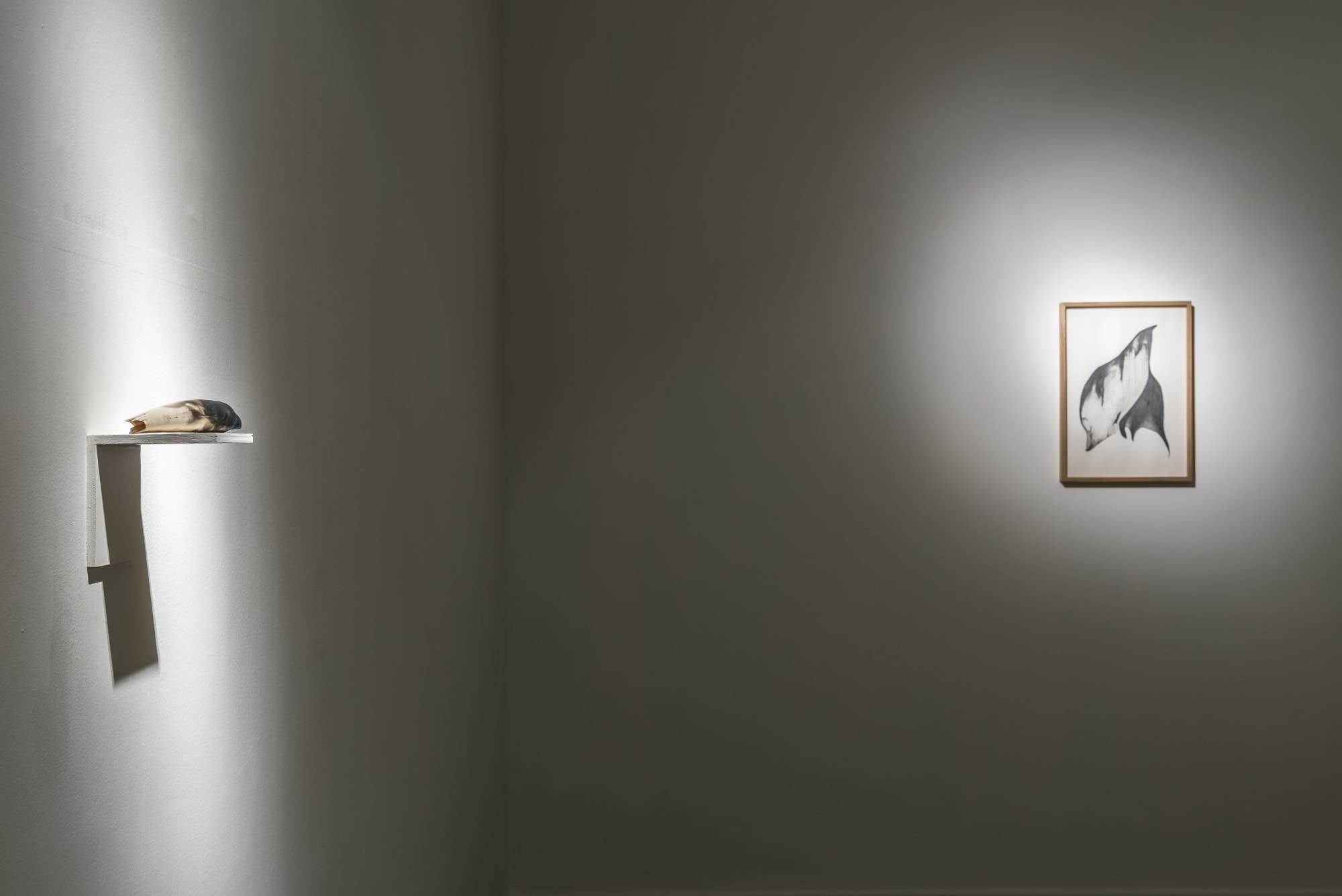 Giovanni Kronenberg, installation view at z2o Sara Zanin Gallery Rome