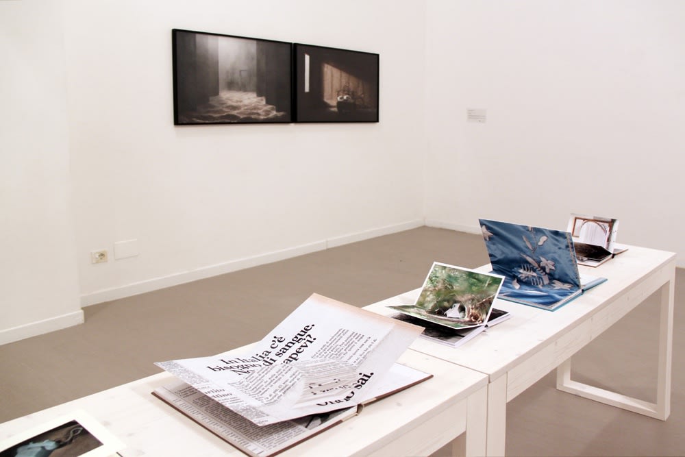 Silvia Camporesi Souvenir Universo, 2013