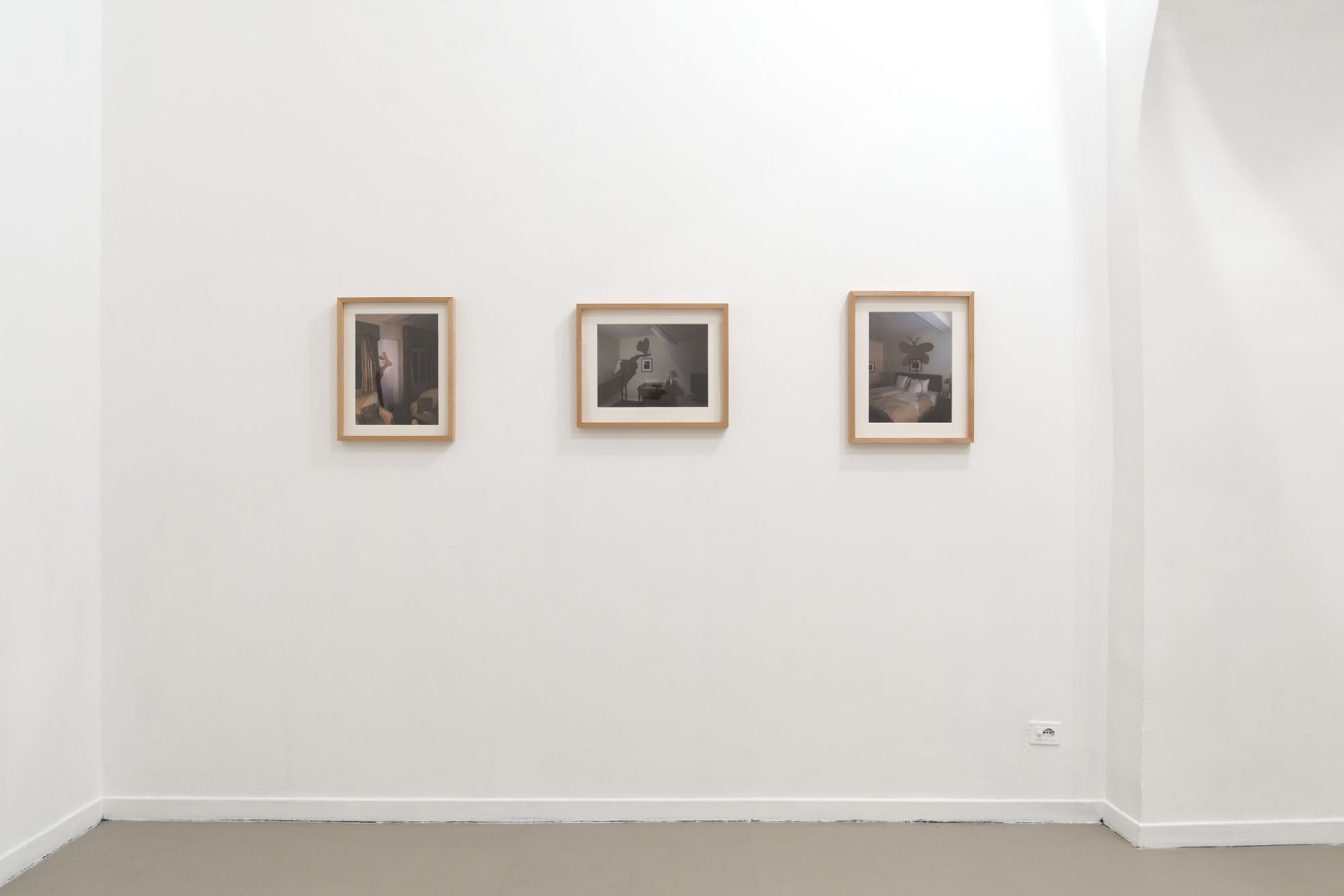 Evgeny Antufiev, Eternal Garden, 2017, installation view at z2o Sara Zanin Gallery