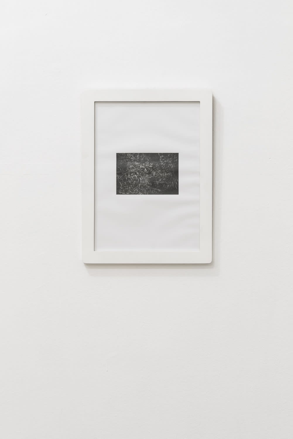 Rain Come Down! - Domesticated environment! the Hungarian attitudes, Tibor Iski Kocsis, Orto Botanico di Roma, 2012, charcoal and graphite on paper, 40x30cm, 13x18cm, ph. Sebastiano Luciano