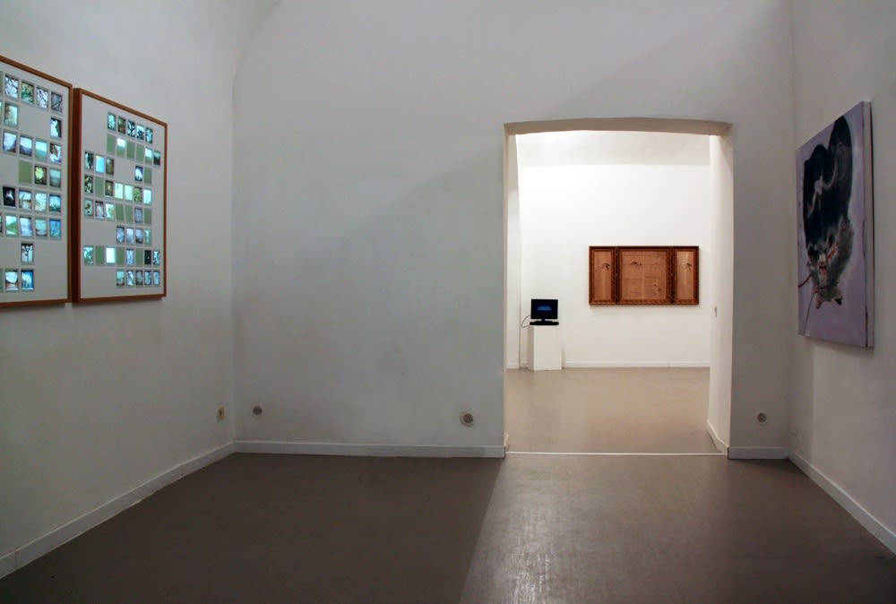 Ab Origine, Installation View, z2o Sara Zanin gallery, room 2