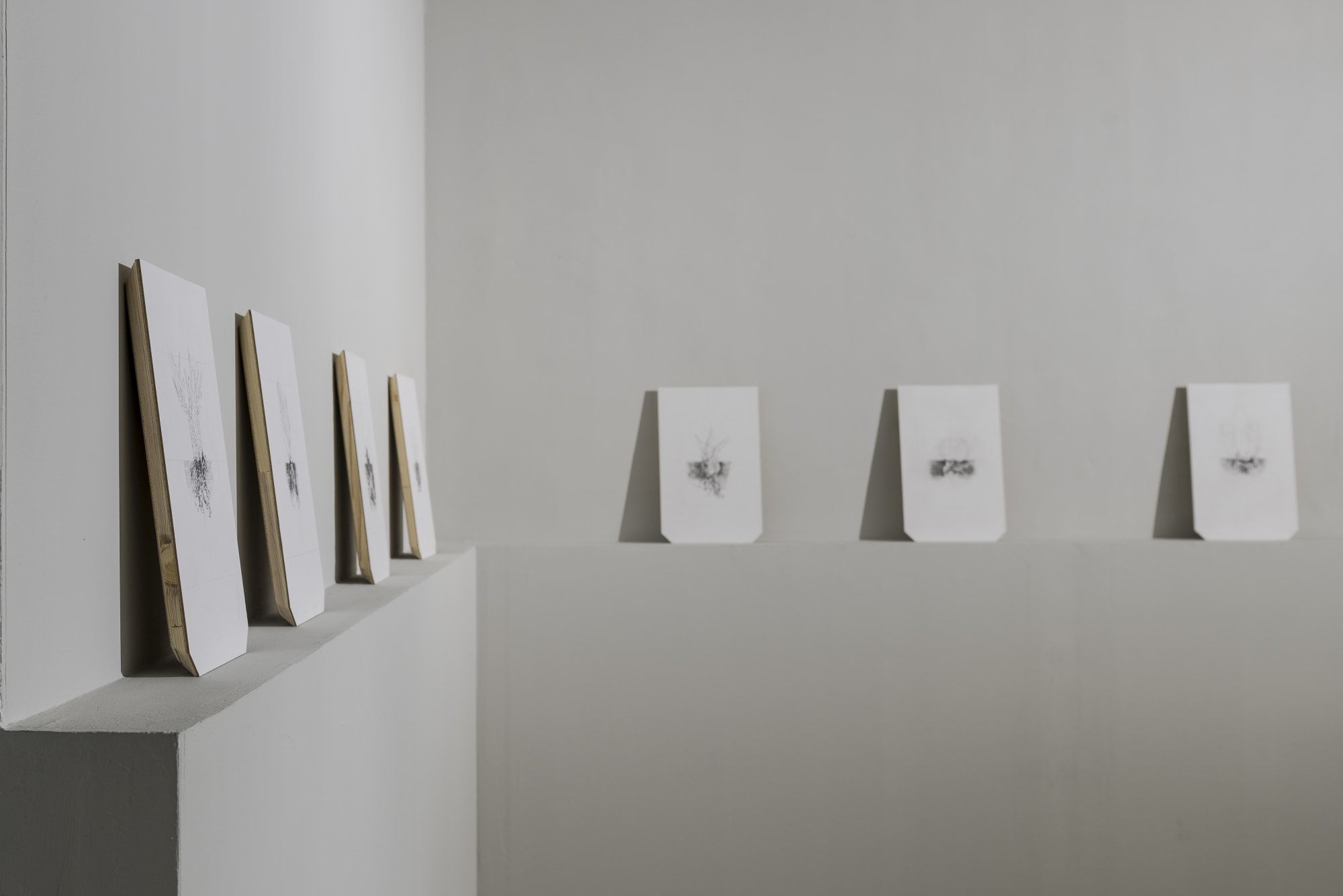 EntreNous, Pier Paolo Calzolari & Marco Maria Giuseppe Scifo, installation view at z2o Sara Zanin Gallery