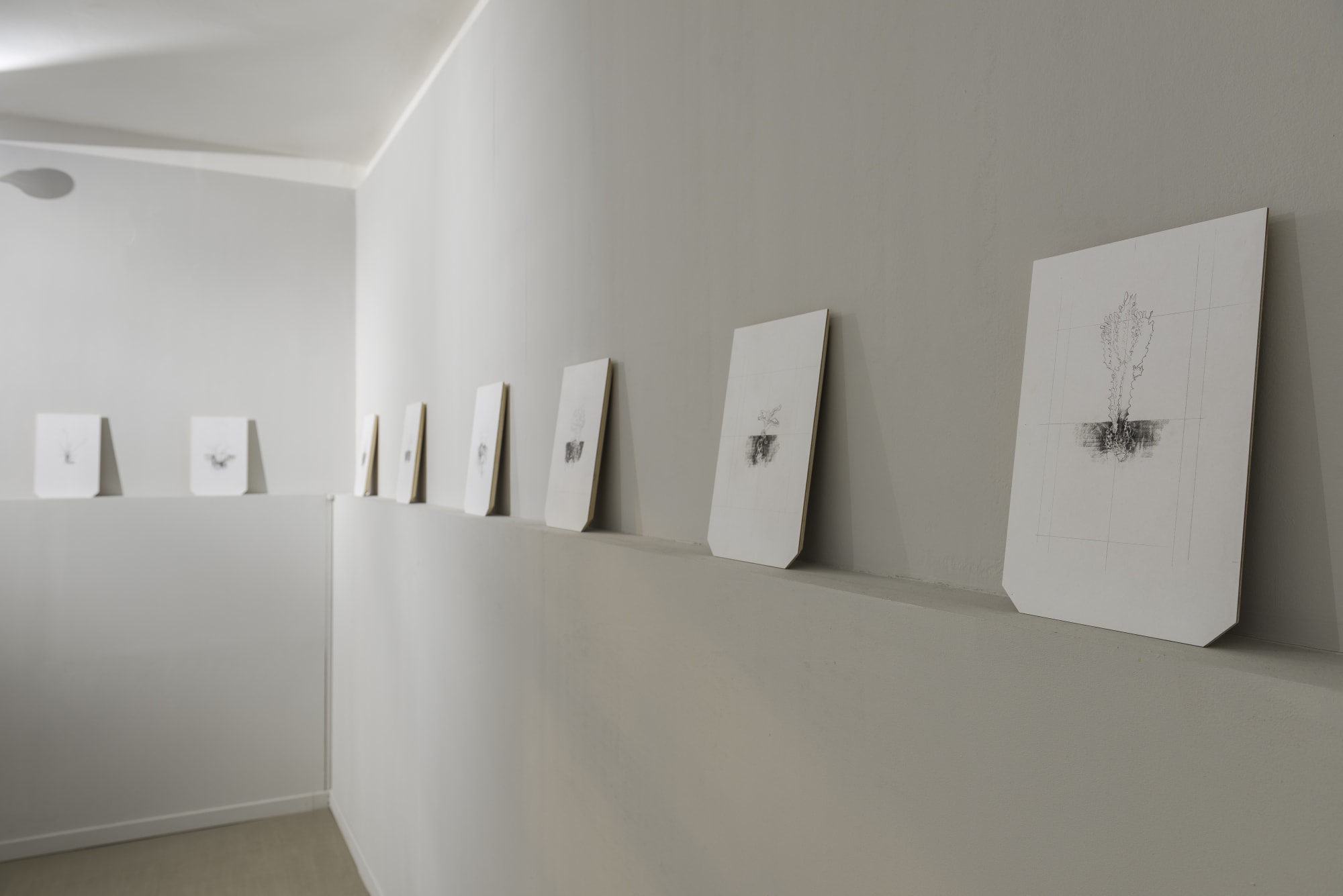 EntreNous, Pier Paolo Calzolari & Marco Maria Giuseppe Scifo, installation view at z2o Sara Zanin Gallery