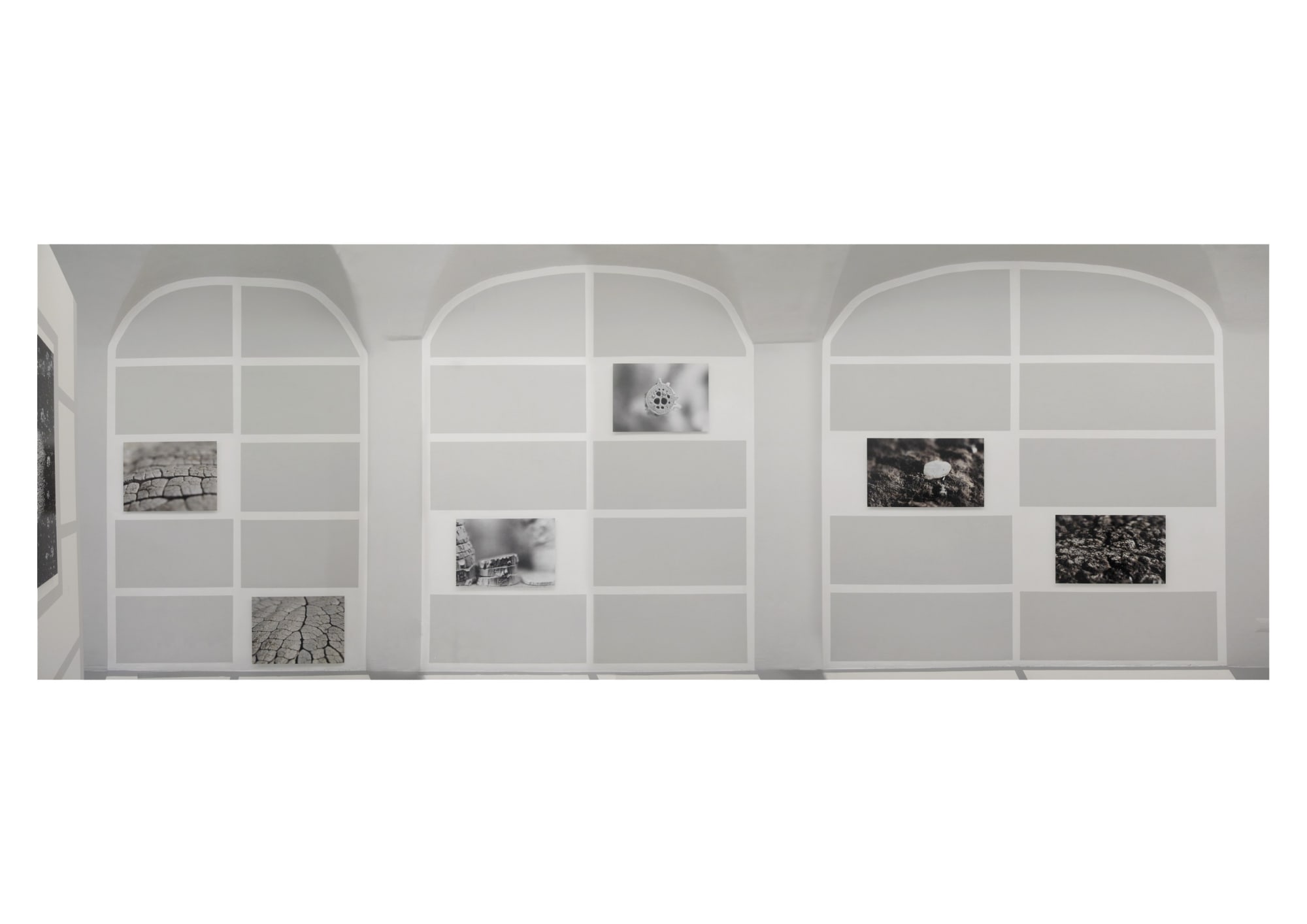 Michele Guido, z2o Garden Project, installation view at z2o Sara Zanin Gallery