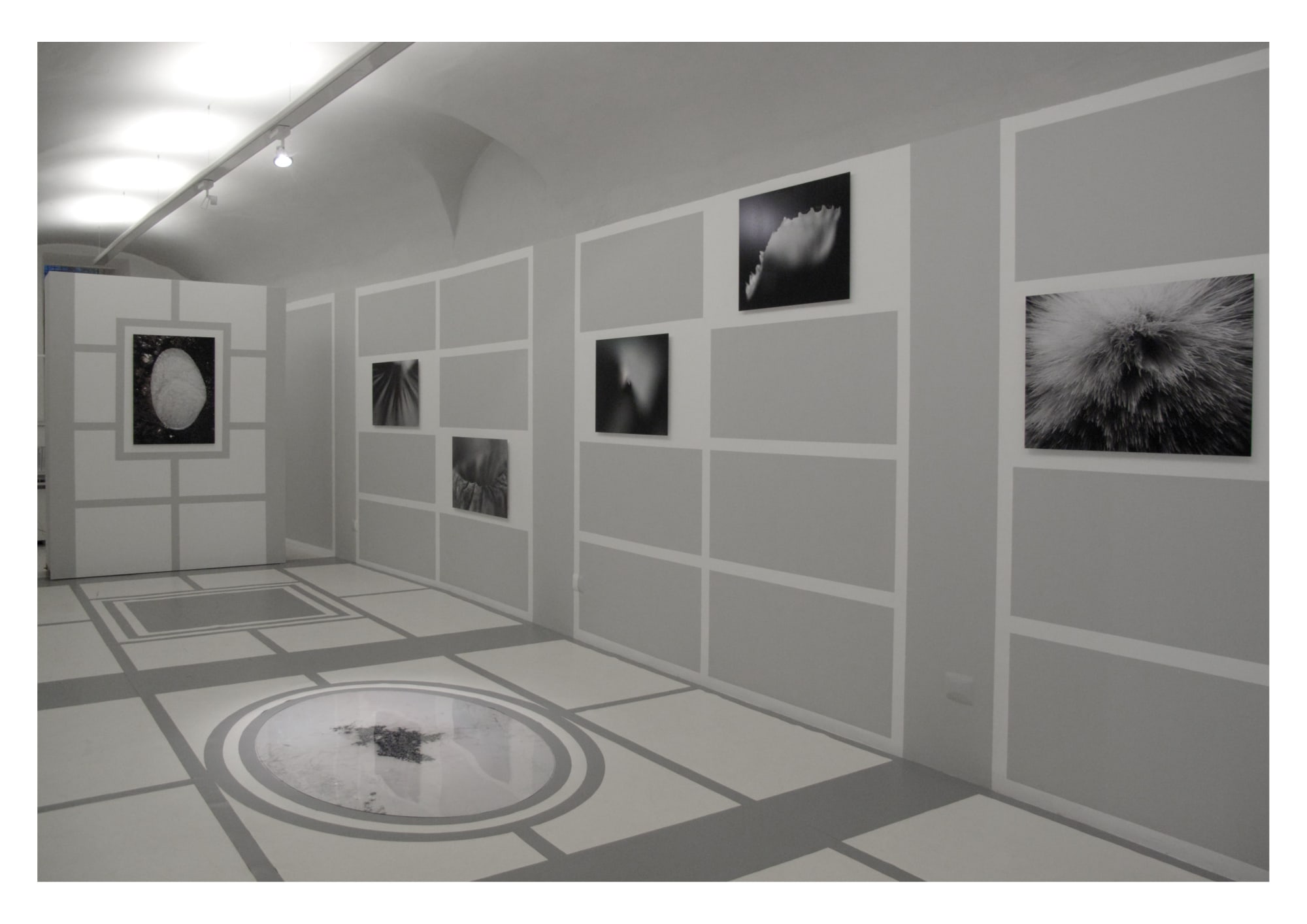 Michele Guido, z2o Garden Project, installation view at z2o Sara Zanin Gallery