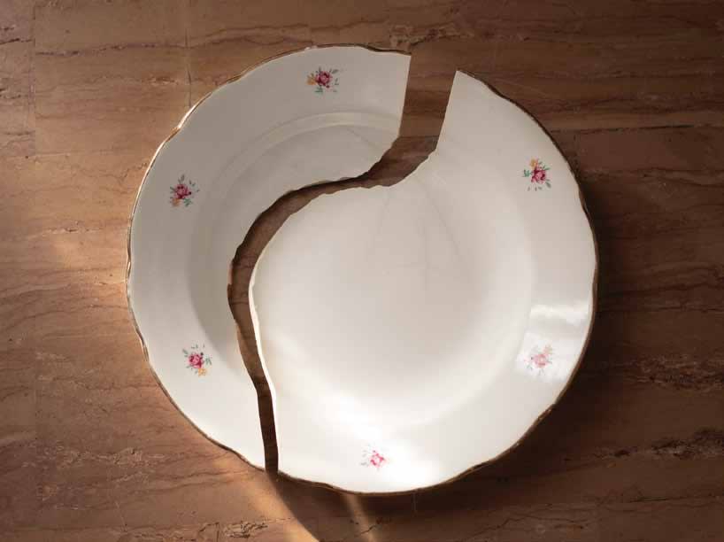 Silvia Camporesi, Domestica ,2020