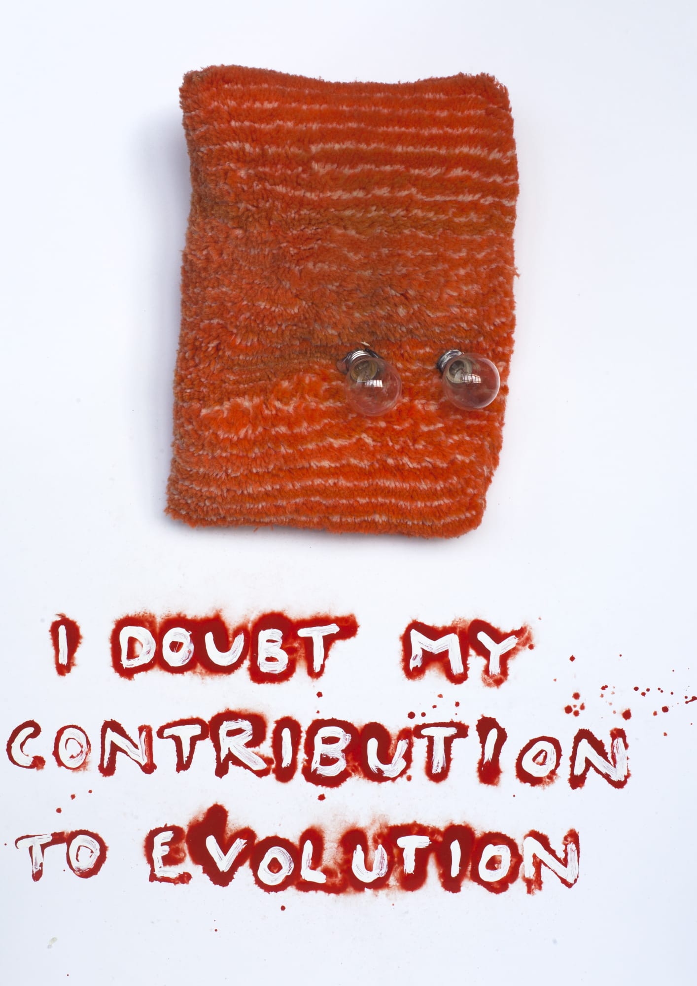 Krištof Kintera, I doubt my contribution to evolution, 2019