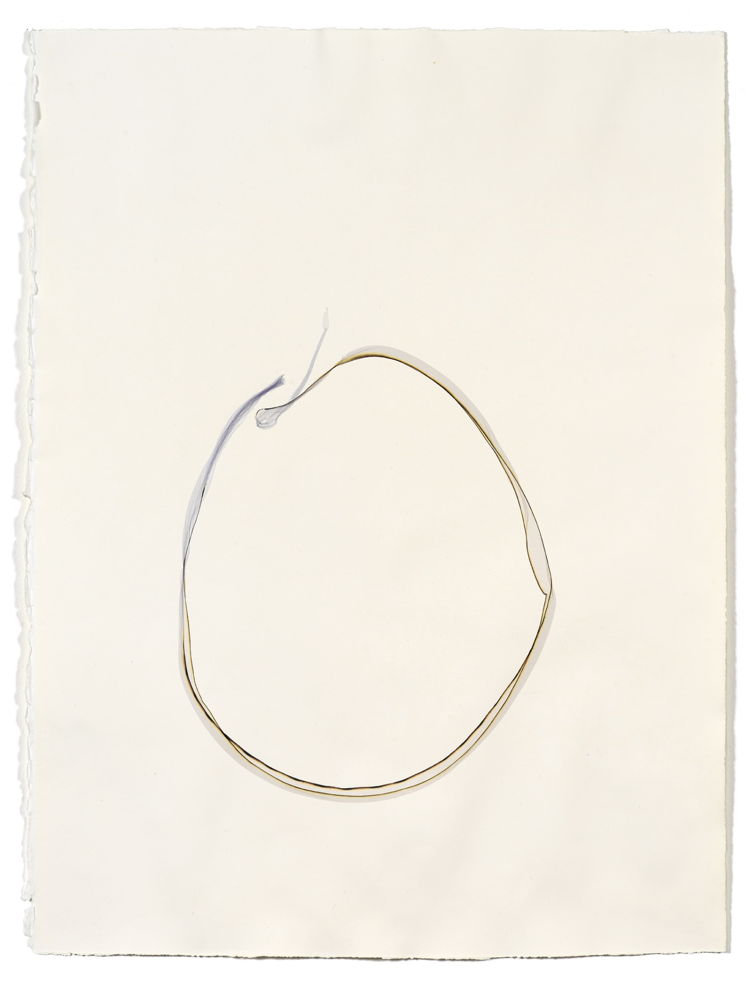 Beatrice Pediconi Untitled small #12, 2019 emulsion lift on watercolor paper cm 66 x 50, cm 75 x 60 with frame and glass