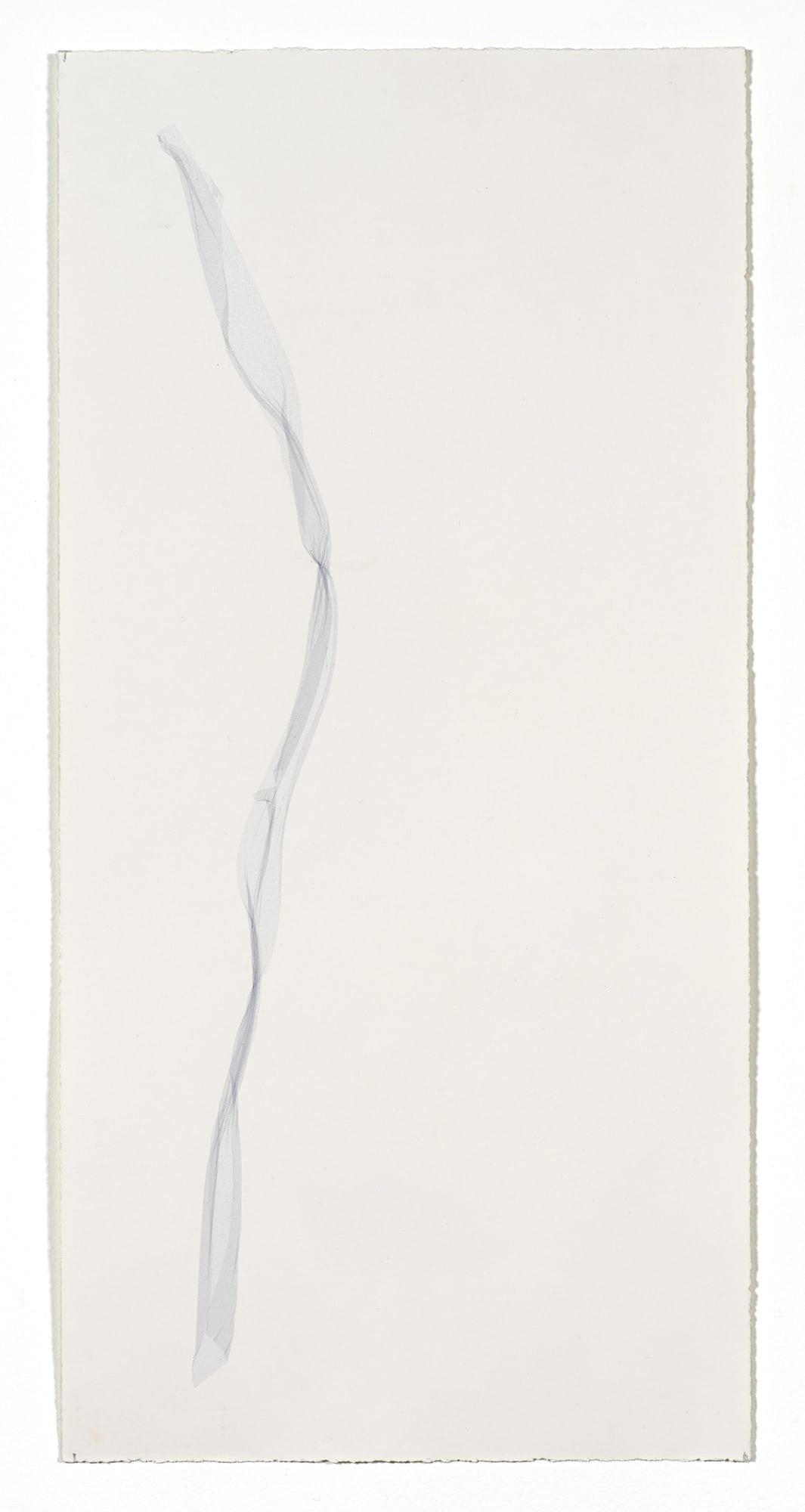 Beatrice Pediconi Untitled small #1, 2020 emulsion lift on watercolor paper cm 66 x 30, cm 73 x 38 with frame and glass