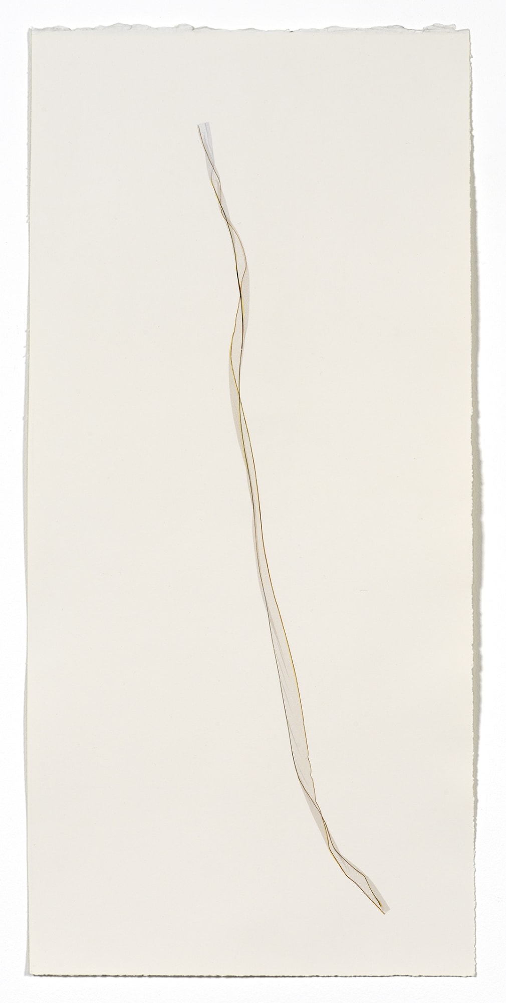 Beatrice Pediconi Untitled small #12, 2020 emulsion lift on watercolor paper cm 66 x 30, cm 73 x 38 with frame and glass