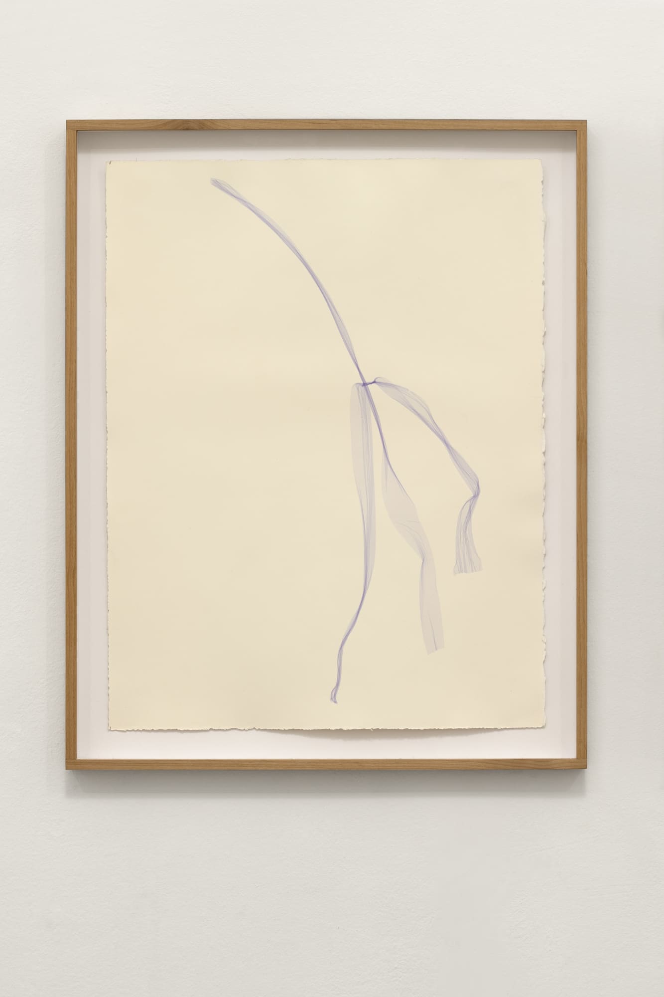 Beatrice Pediconi Untitled Small #15, 2020 Emulsion lift on paper cm 66x50, with frame and glass cm 75 x 60