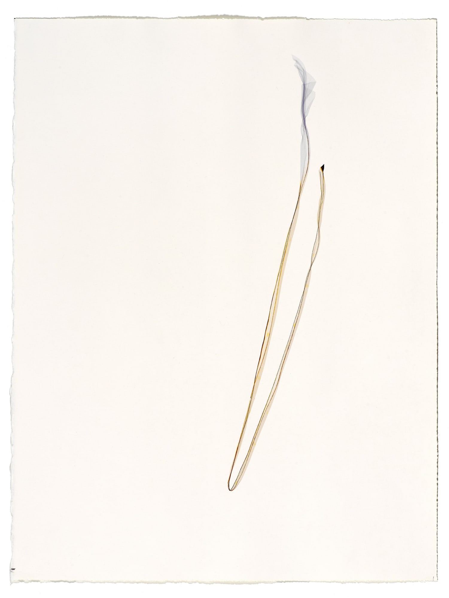 Beatrice Pediconi Untitled small #23, 2019 emulsion lift on watercolor paper cm 66 x 50, cm 75 x 60 with frame and glass