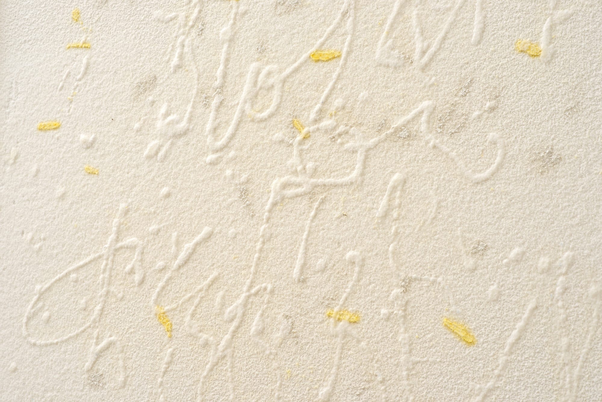 Details Pier Paolo Calzolari Titolo: Scritture Iscrizione: I tuoi denti sono chicchi di cristallo, 2019