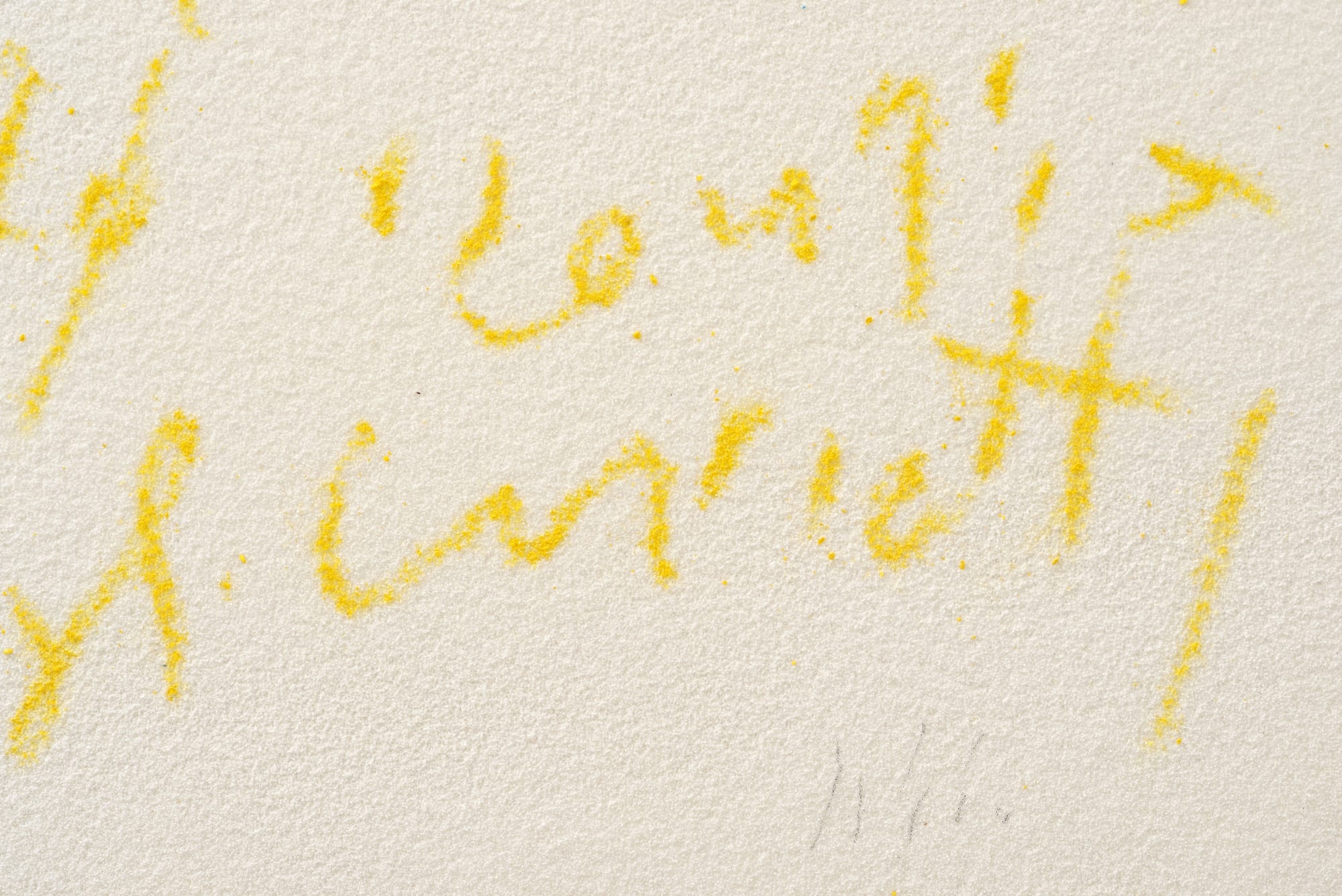 Details Pier Paolo Calzolari Titolo: Scritture Iscrizione: L'aria vibra del ronzio degli insetti, 2019