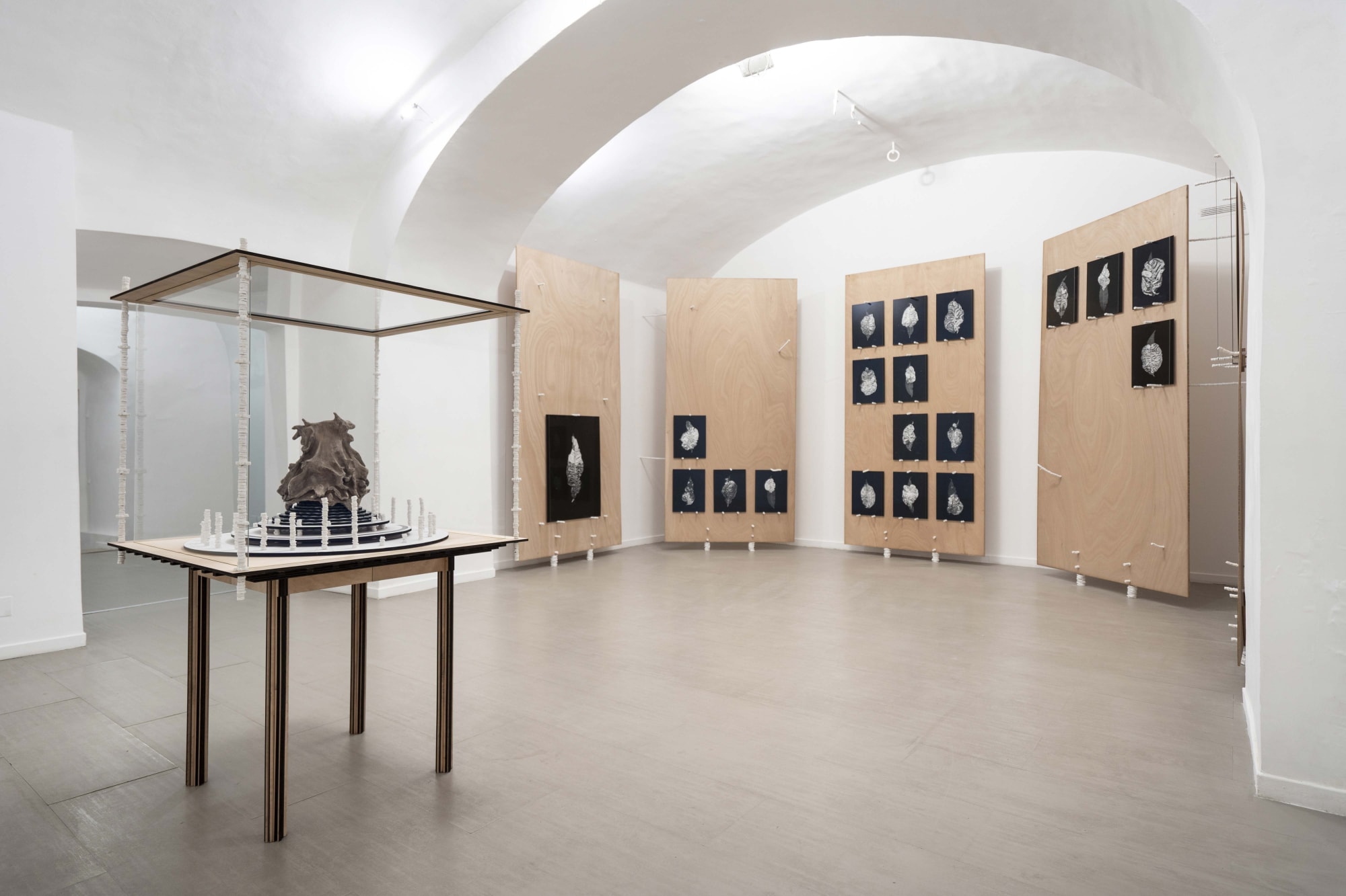 Michele Guido taphrina deformans garden project_2021 installation view of the third room ph. Masiar Pasquali