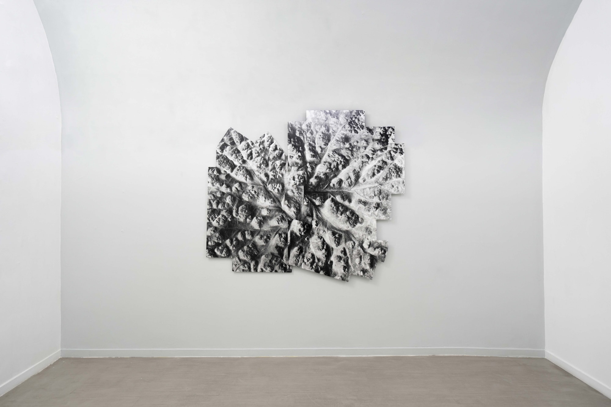 Michele Guido taphrina deformans garden project_2021 installation view of the second room ph. Masiar Pasquali