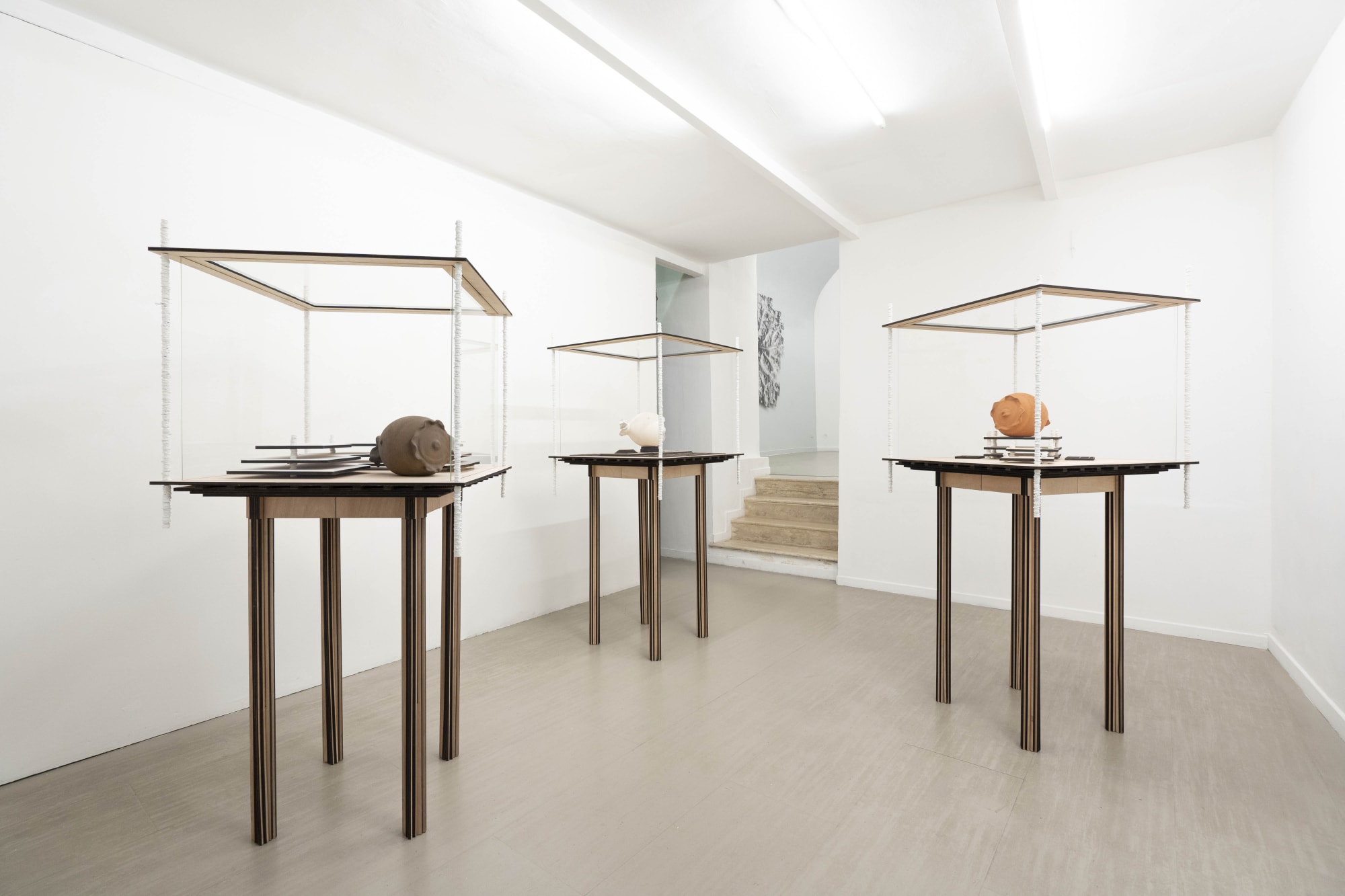 Michele Guido taphrina deformans garden project_2021 installation view of the first room ph. Masiar Pasquali