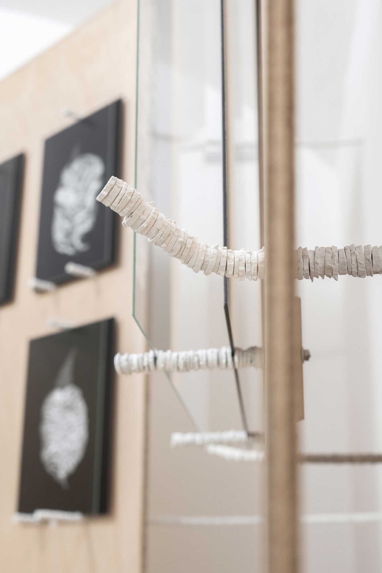 Michele Guido taphrina deformans garden project_2021 detail of the installation ph. Masiar Pasquali