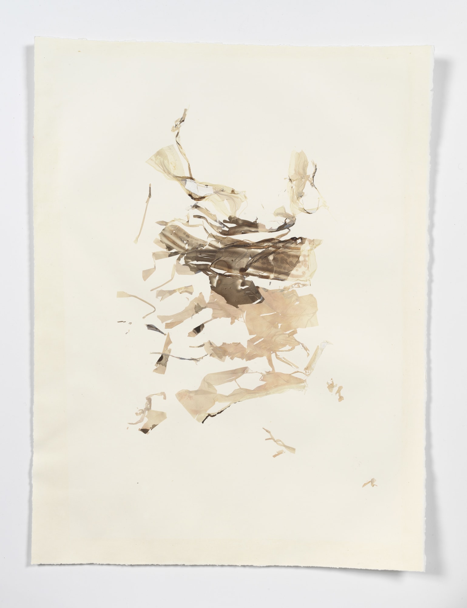 Beatrice Pediconi Anamnesis #3, 2018 Mixed media on watercolor paper Cm 66 x 50, cm 75 x 59 x 4 framed