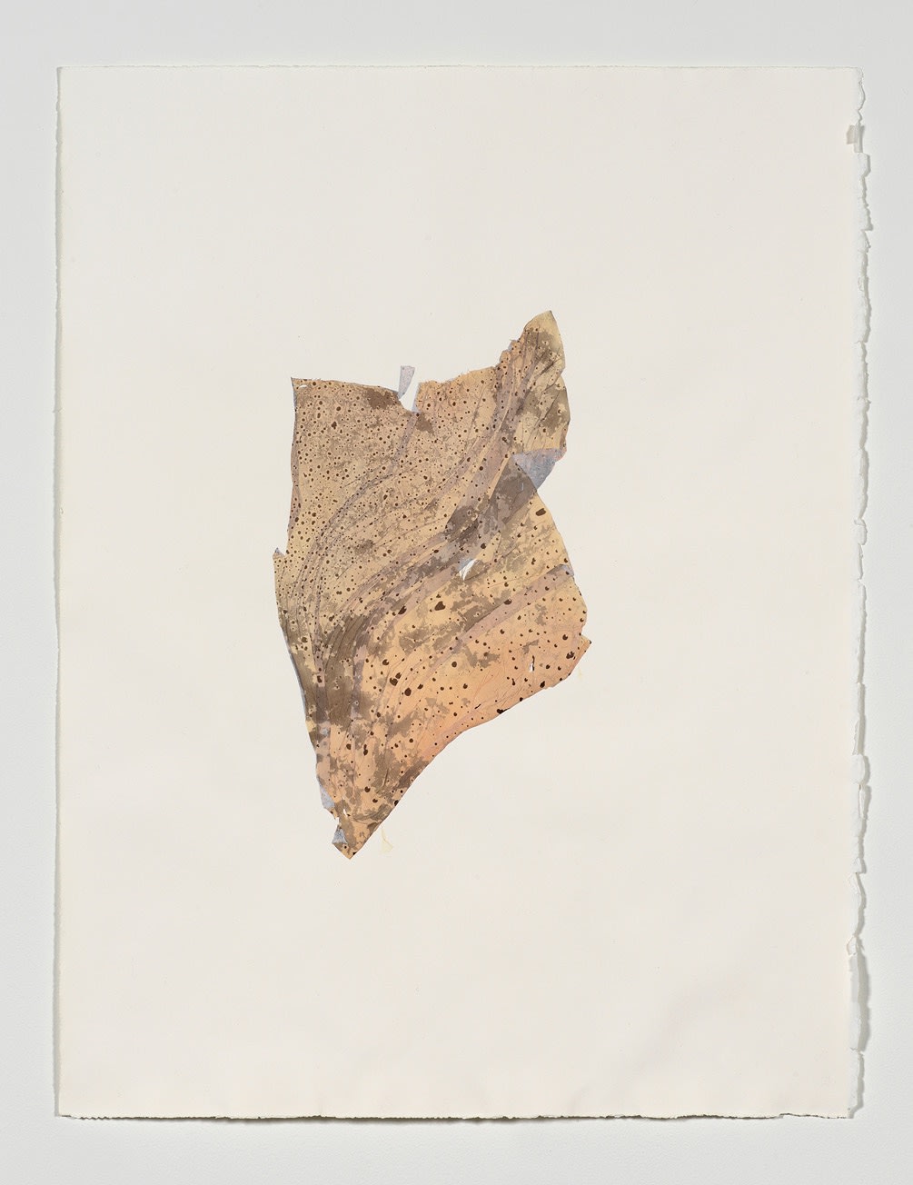 Beatrice Pediconi Anamnesis #5, 2019 Mixed media on watercolor paper Cm 66 x 50, cm 75 x 59 x 4 framed