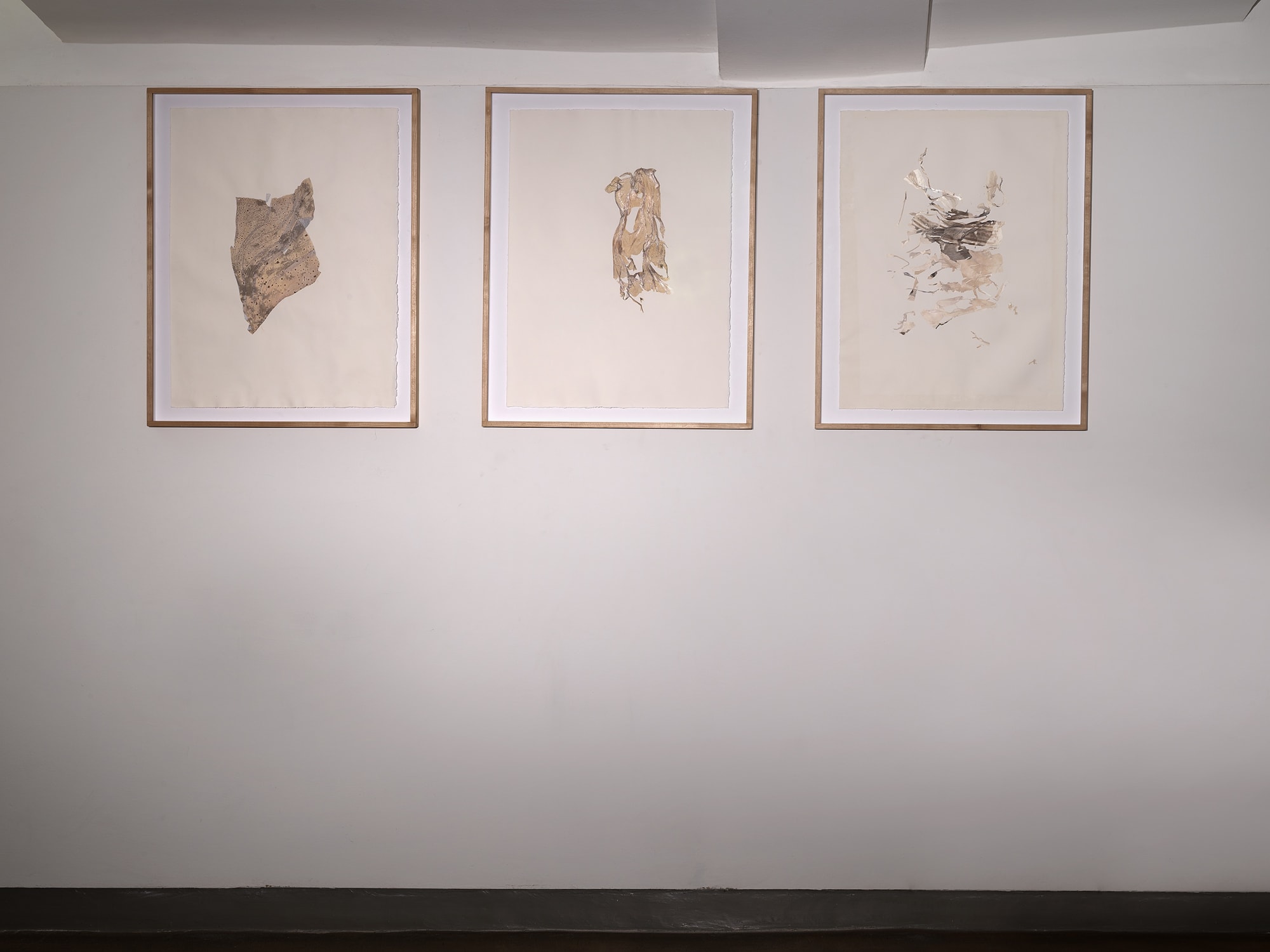 Beatrice Pediconi Anamnesis series, 2018-2019 Mixed media on watercolor paper Cm 66 x 50, cm 75 x 59 x 4 framed (each)