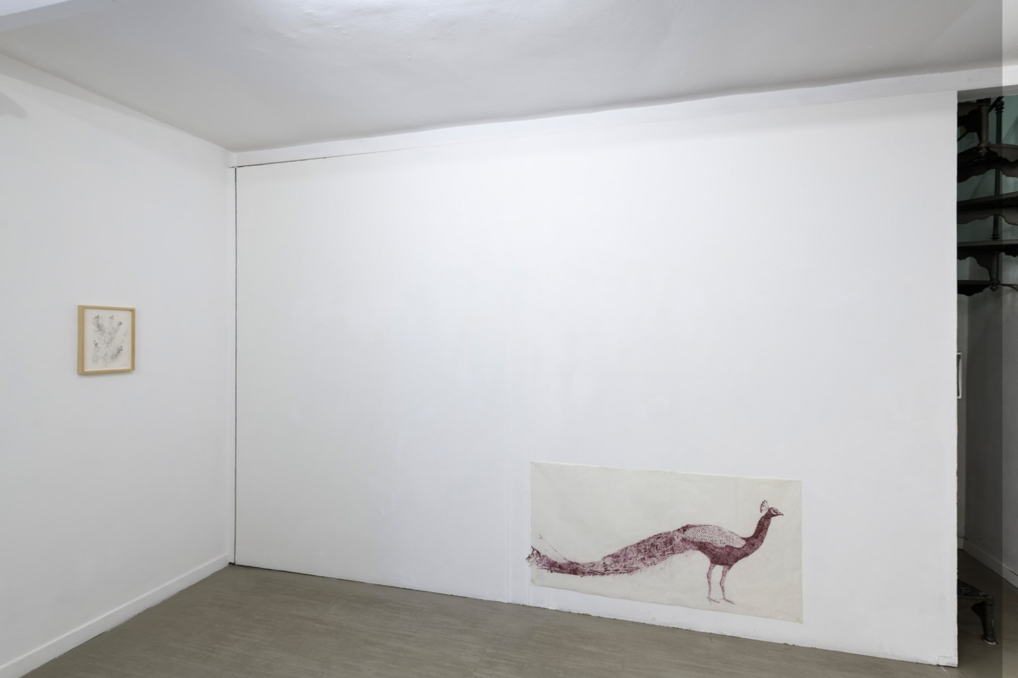 Marta Roberti, In metamorfosi, curated by Cecilia Canziani Installation view, ph. Giorgio Benni