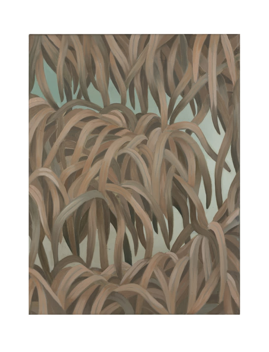 Anna Maria Schönrock Dickicht, 2021 Cm 40 x 30 oil on canvas