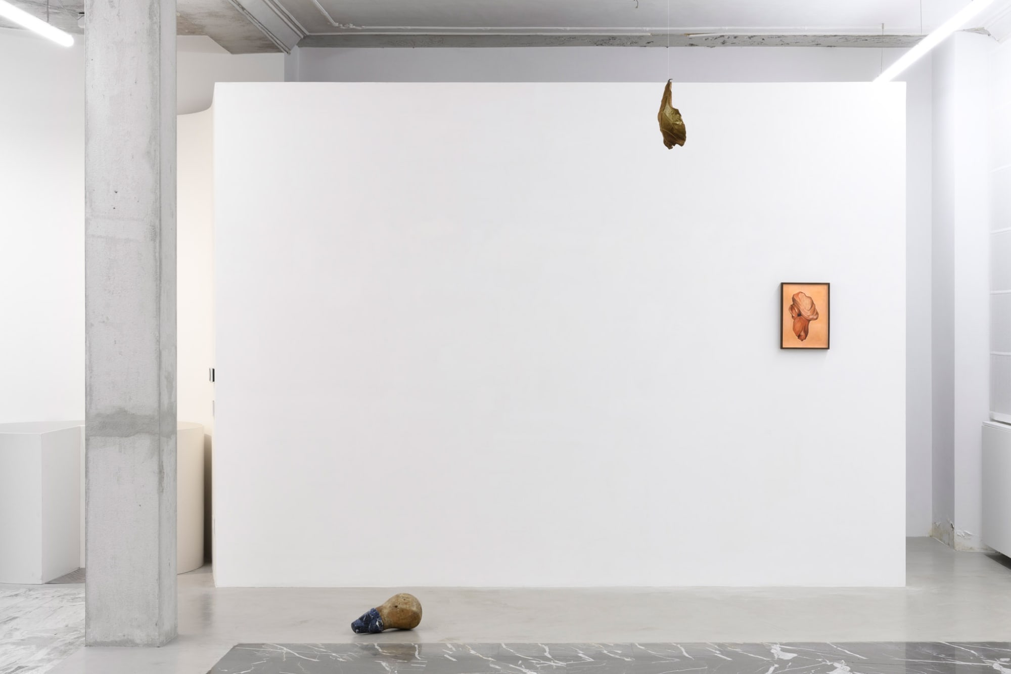 Kronenberg - Nonas with a text by Riccardo Venturi in collaboration with P420 Bologna installation view at z2o project, ph. Giorgio Benni