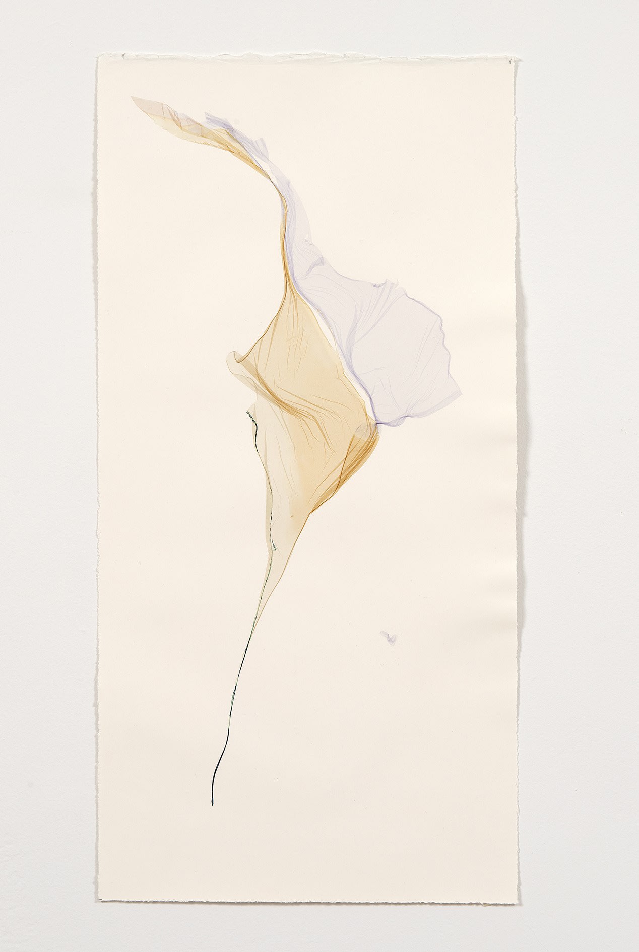 Beatrice Pediconi, Ercole, 2024, polaroid emulsion on watercolor paper, cm 73 x 38 with frame. Ph. Dario Lasagni