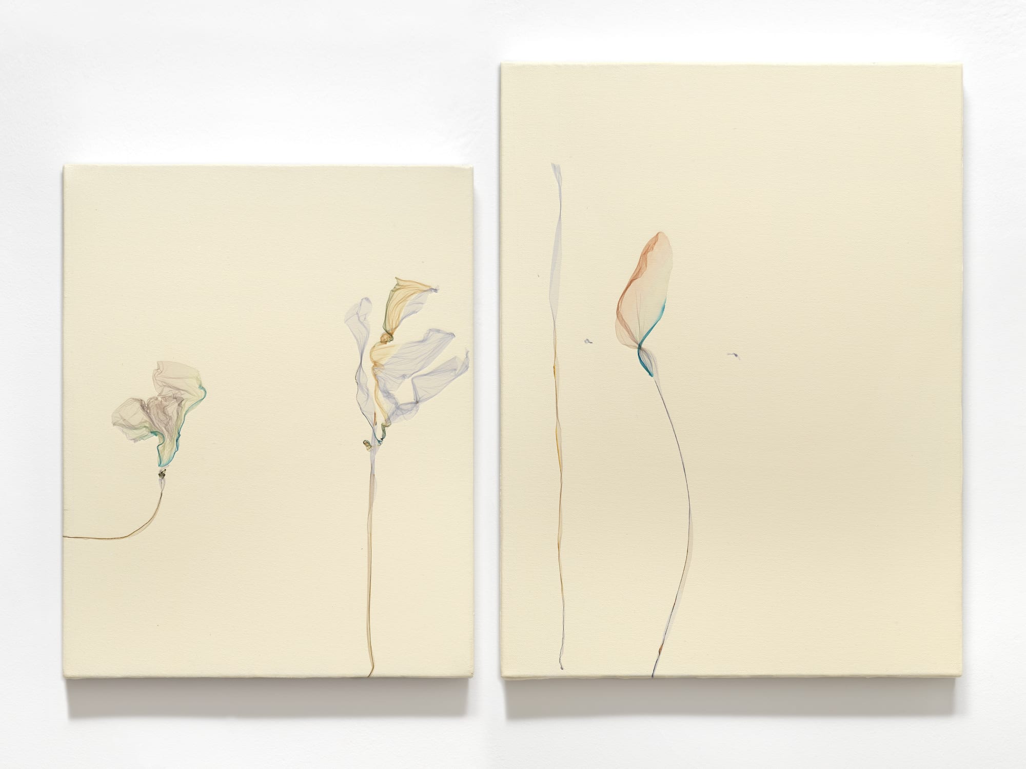 Perfumes Are the Feeling of Flowers (after Heinrich Heine, poet), 2023, Polaroid emulsion and acrylic on canvas, diptych, cm 51 x 40.6 (left), cm 61 x 46 (right). Ph Dario Lasagni