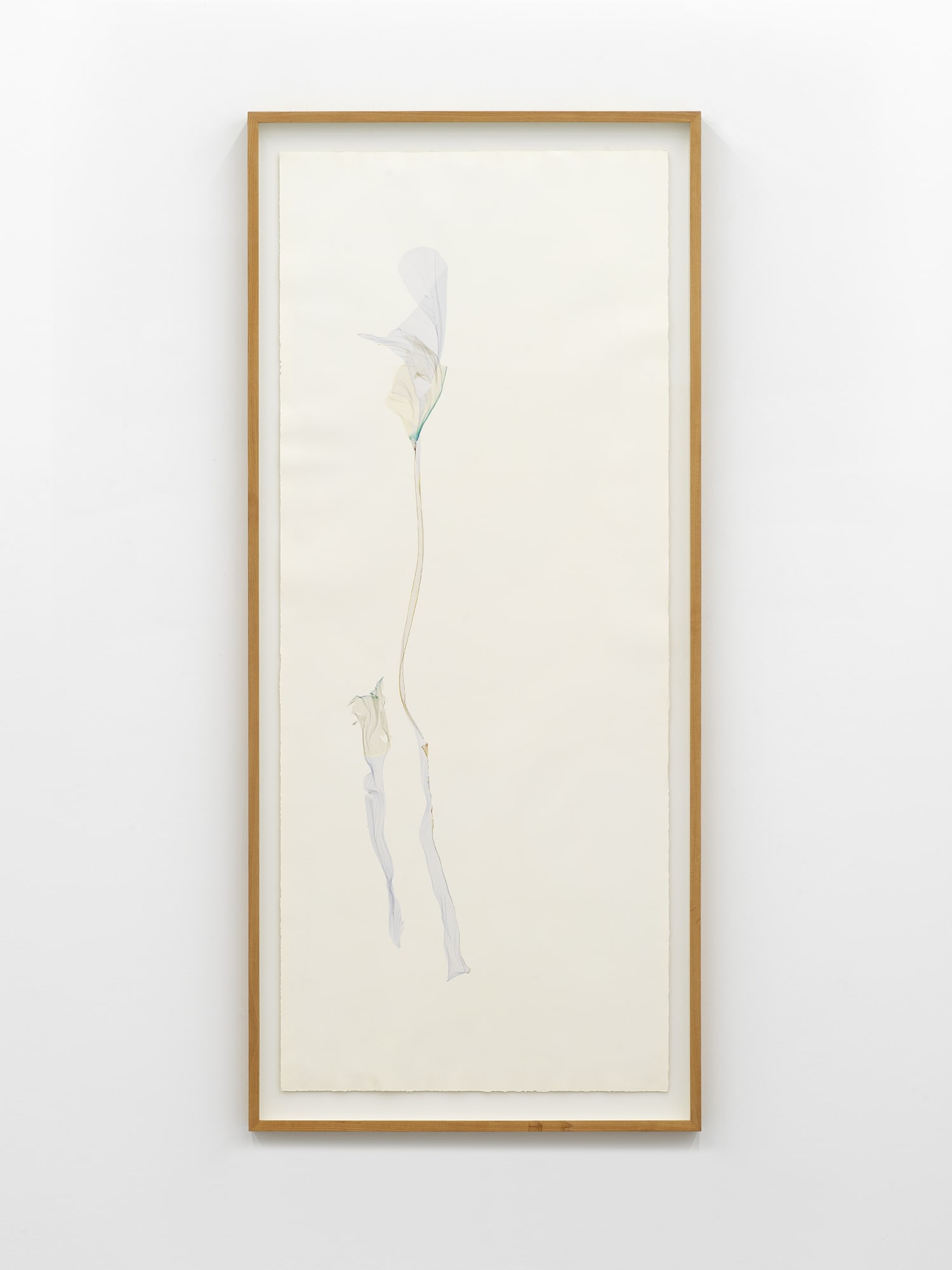 Naked Man Orchid, 2023-2024, Polaroid emulsion lift on watercolour paper, cm 172 x 76. Ph Dario Lasagni