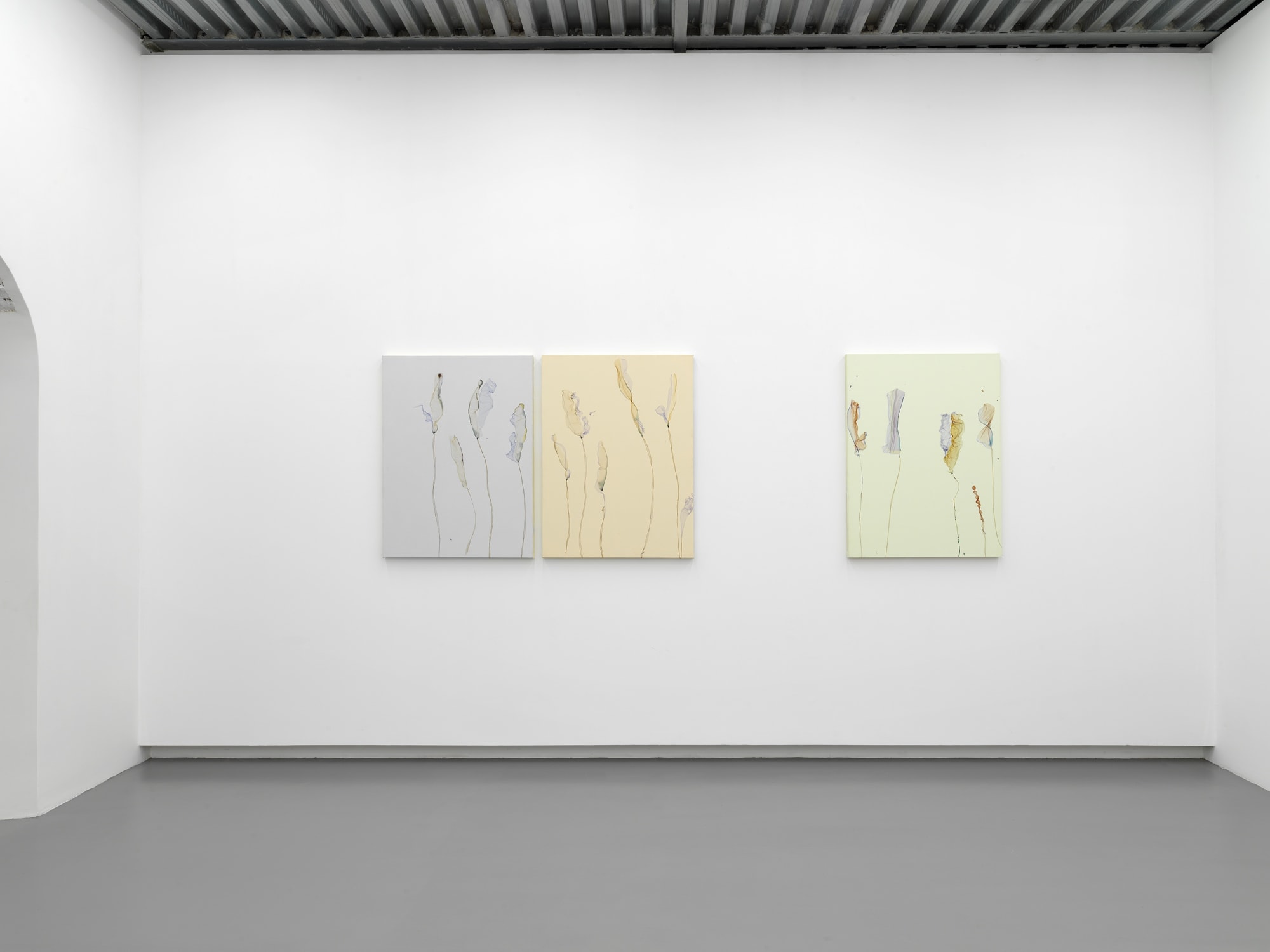 Installation View, Beatrice Pediconi | ... senza turbare una stella, curated by Antonello Tolve, 2024, z2o Sara Zanin | Ph. Dario Lasagni