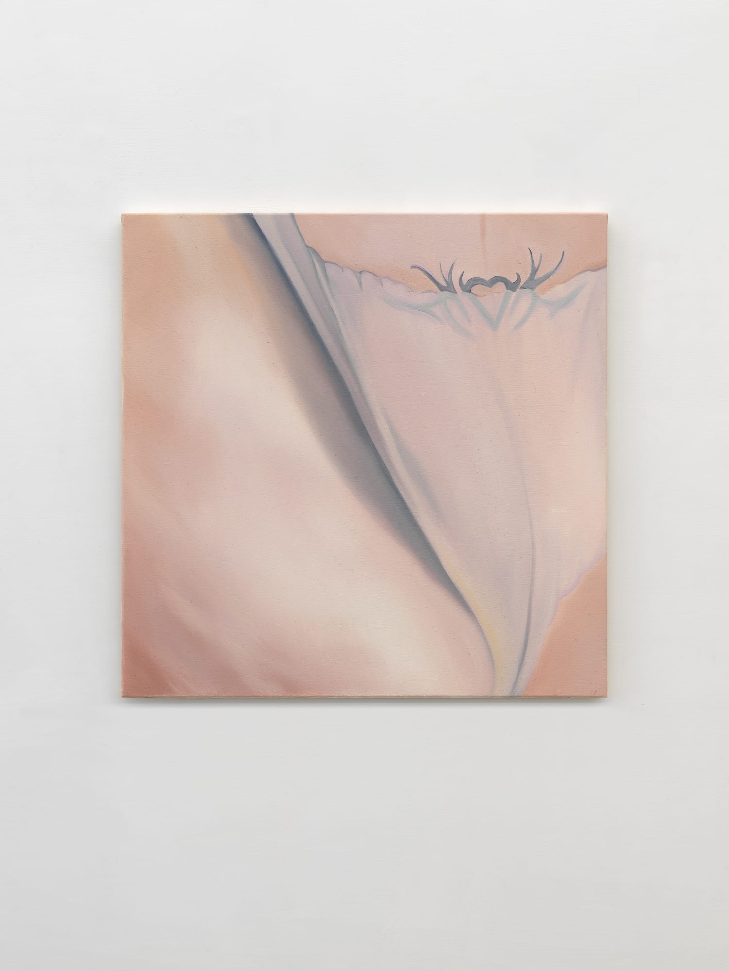 Zucchero filato, 2024, oil on canvas, cm 50 x 50. Ph. Dario Lasagni