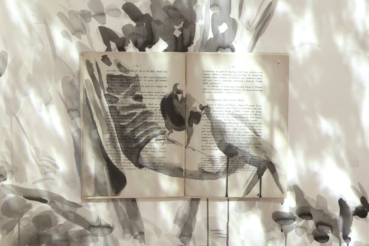 Ekaterina Panikanova, Attraversando il mio giardino, curated by Marina Dacci, z2o Sara Zanin Gallery Rome