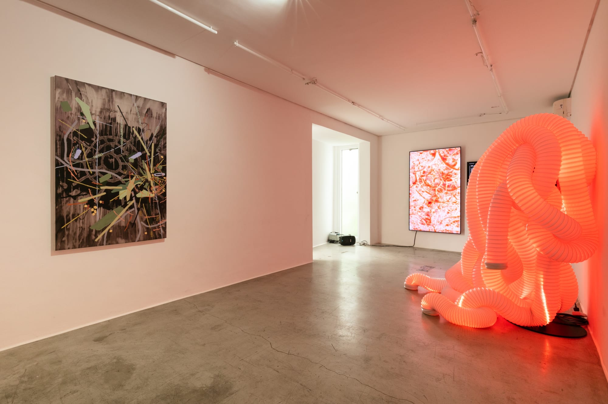 Ritos e Alegorias sobre Natureza