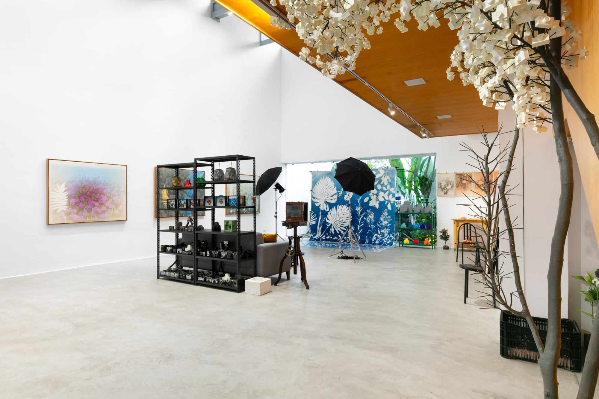 O Ateliê Fotográfico de André Feliciano