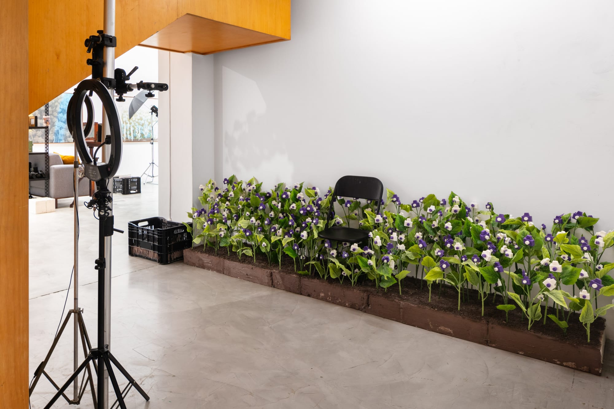 O Ateliê Fotográfico de André Feliciano