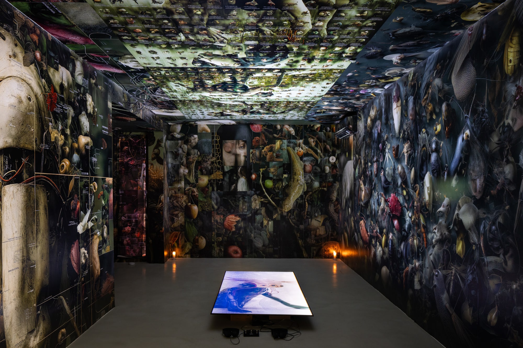 Biastiário: matriz das malícias