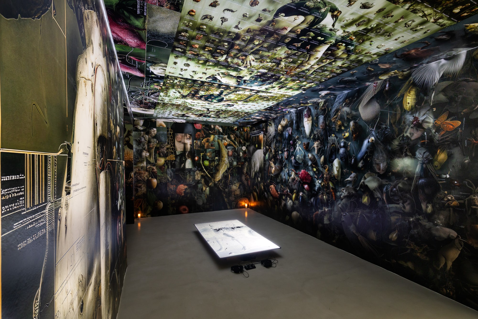 Biastiário: matriz das malícias