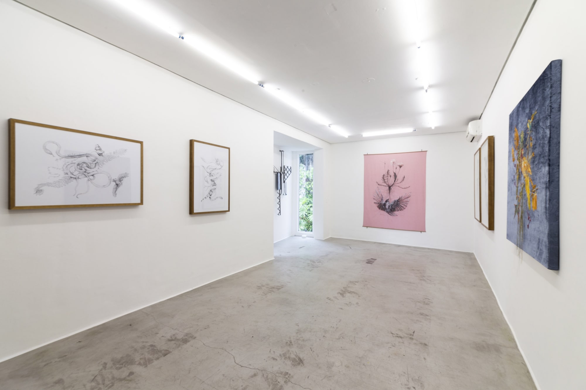 Zip'Up: Na raiz / Caminho / Pelos laços / Passarinho