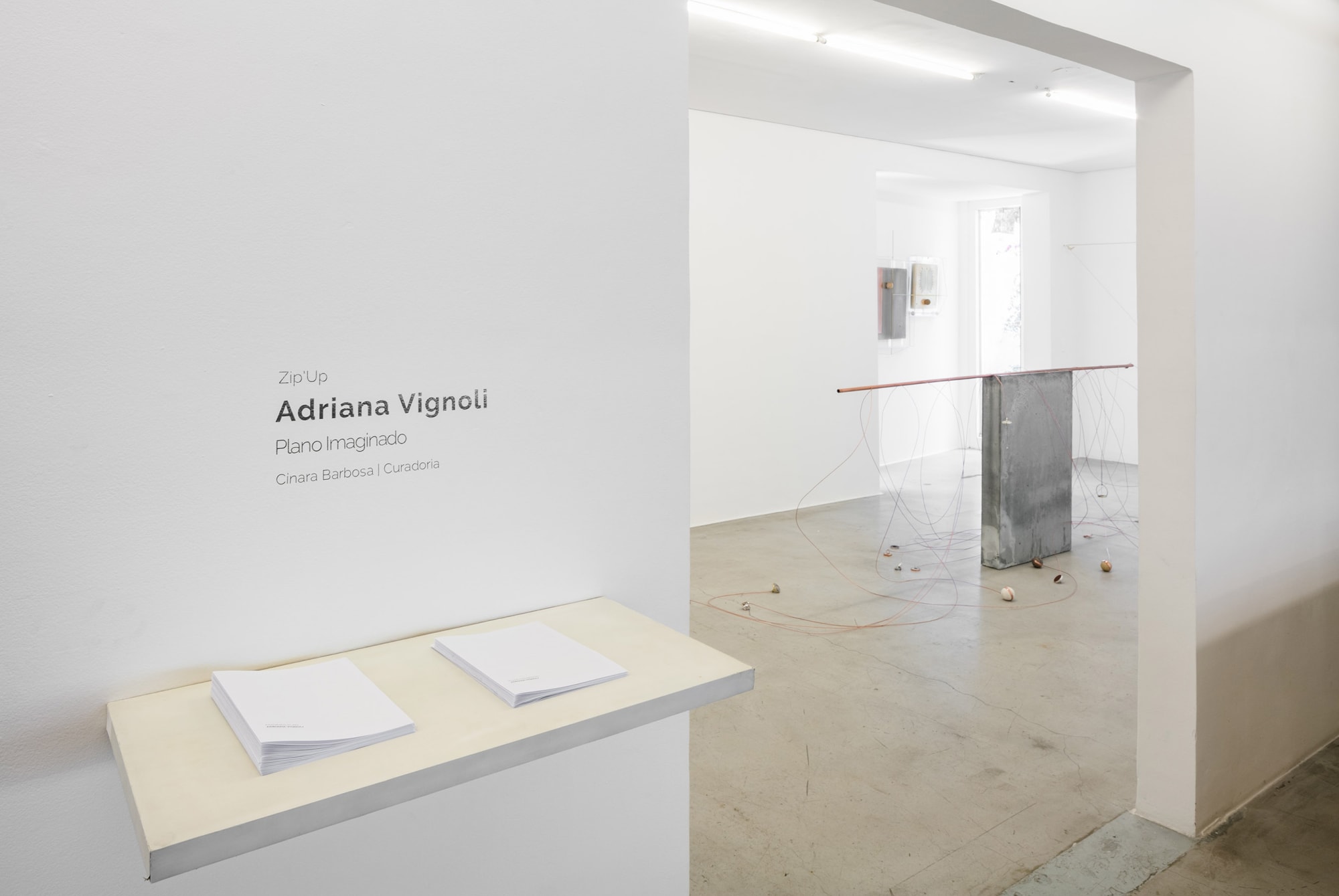 Zip'Up: Plano imaginado