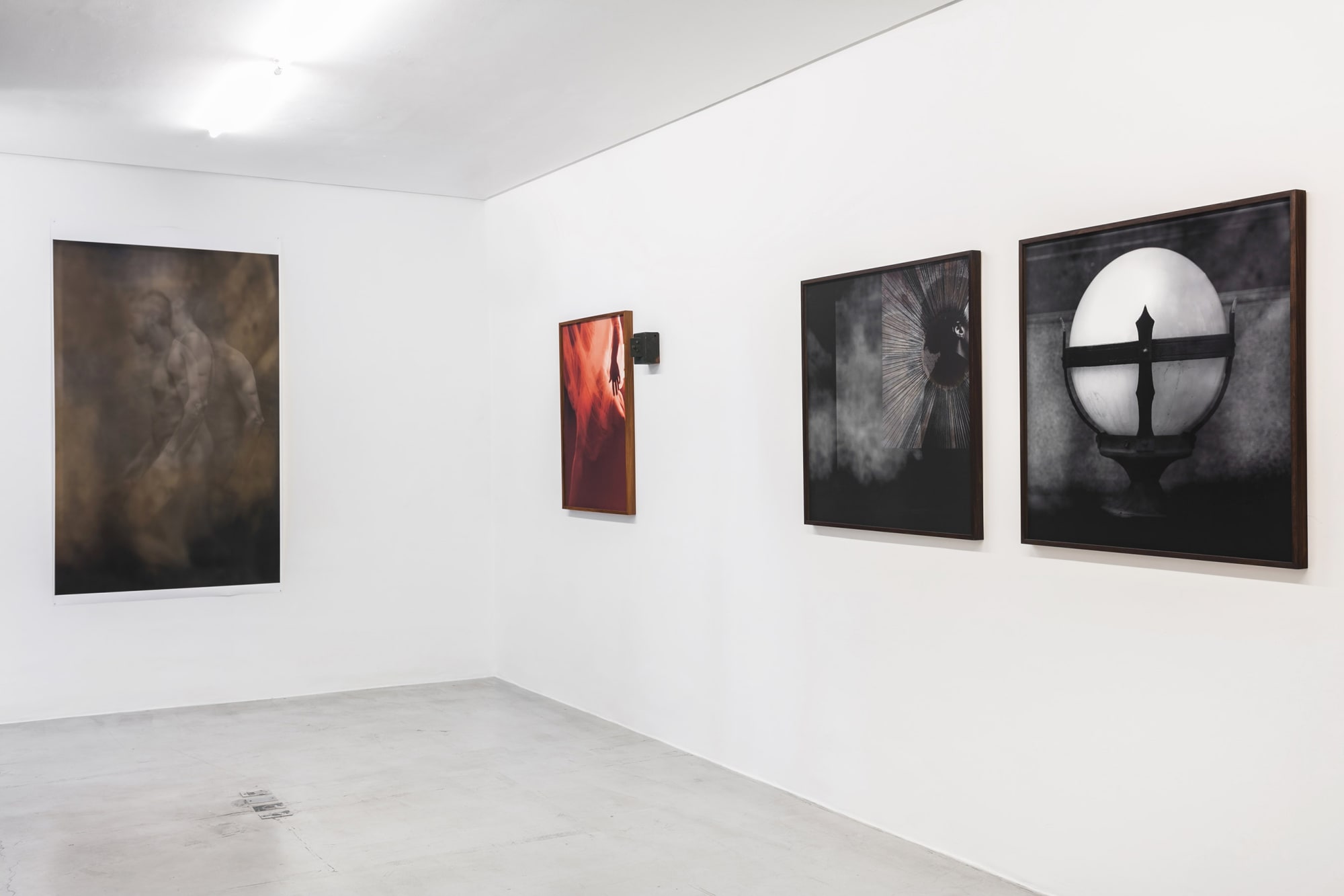 Zip'Up: De onde emergem os nervos