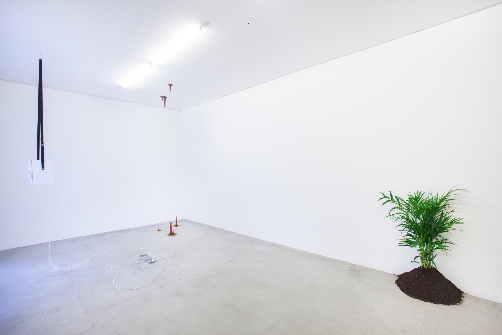 Zip'Up: O animal que logo sou