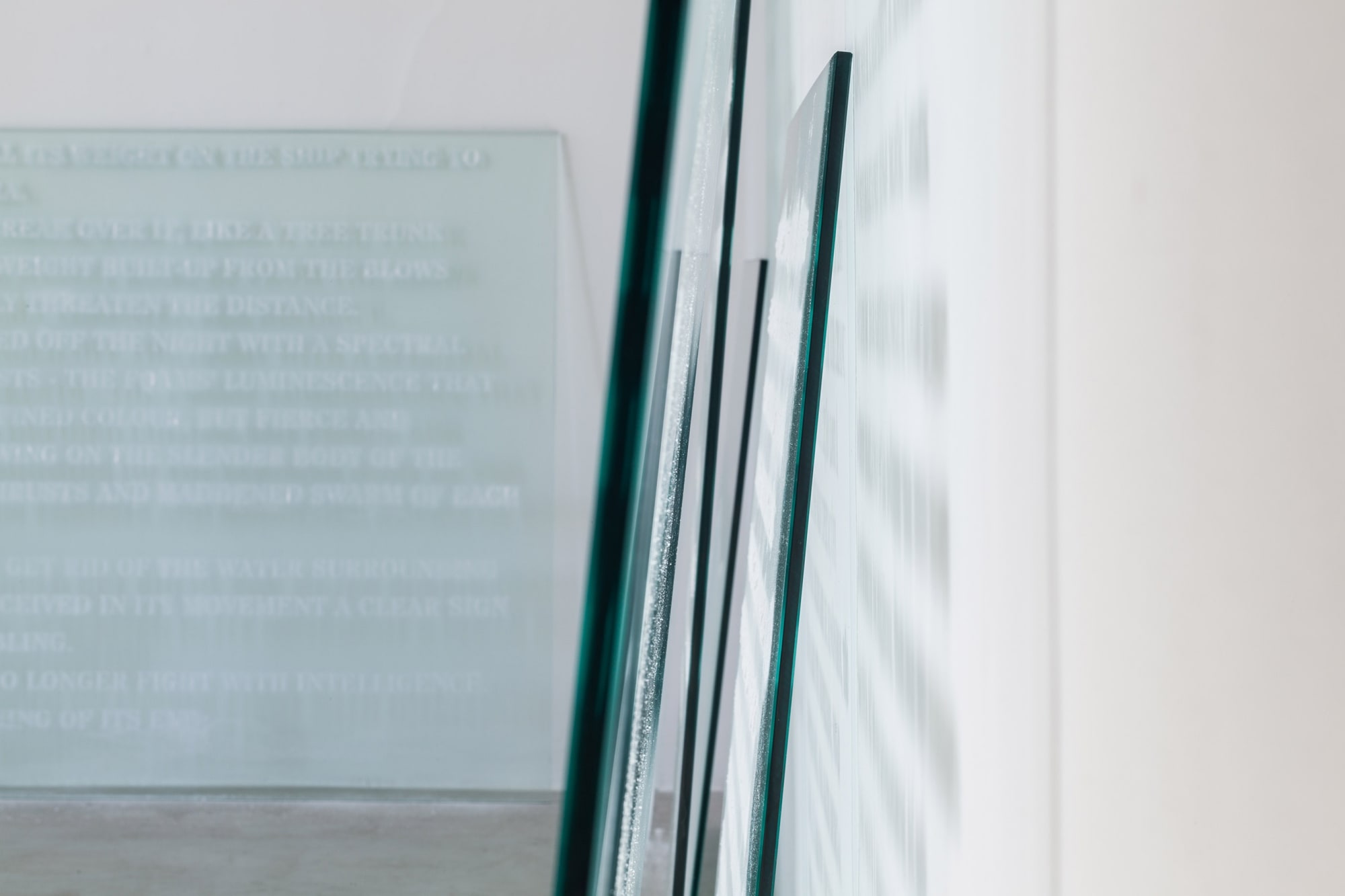 Zip'Up: Quando linhas imaginárias entrecruzam latitude e longitude