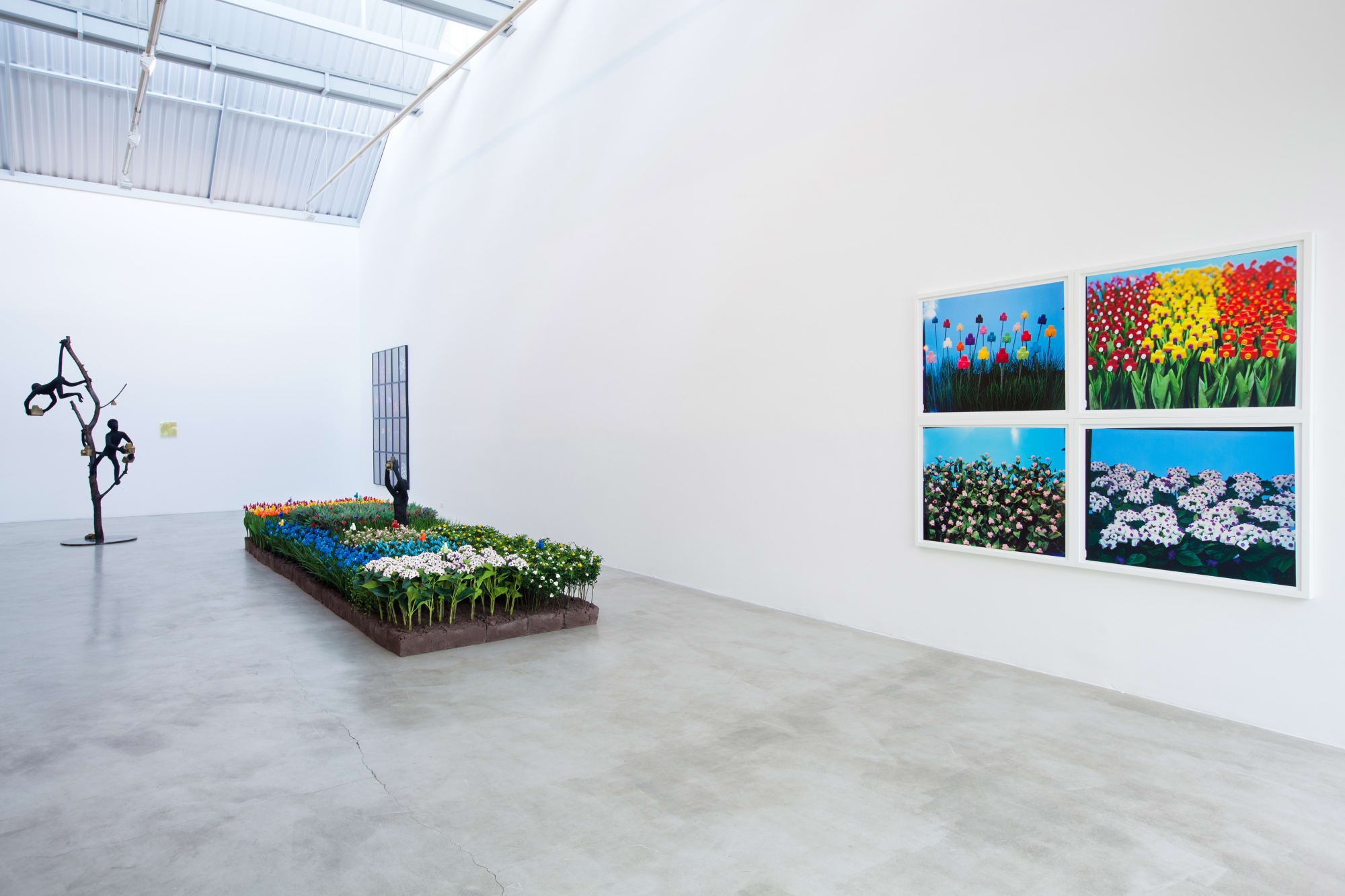 Sob o luar fotográfico