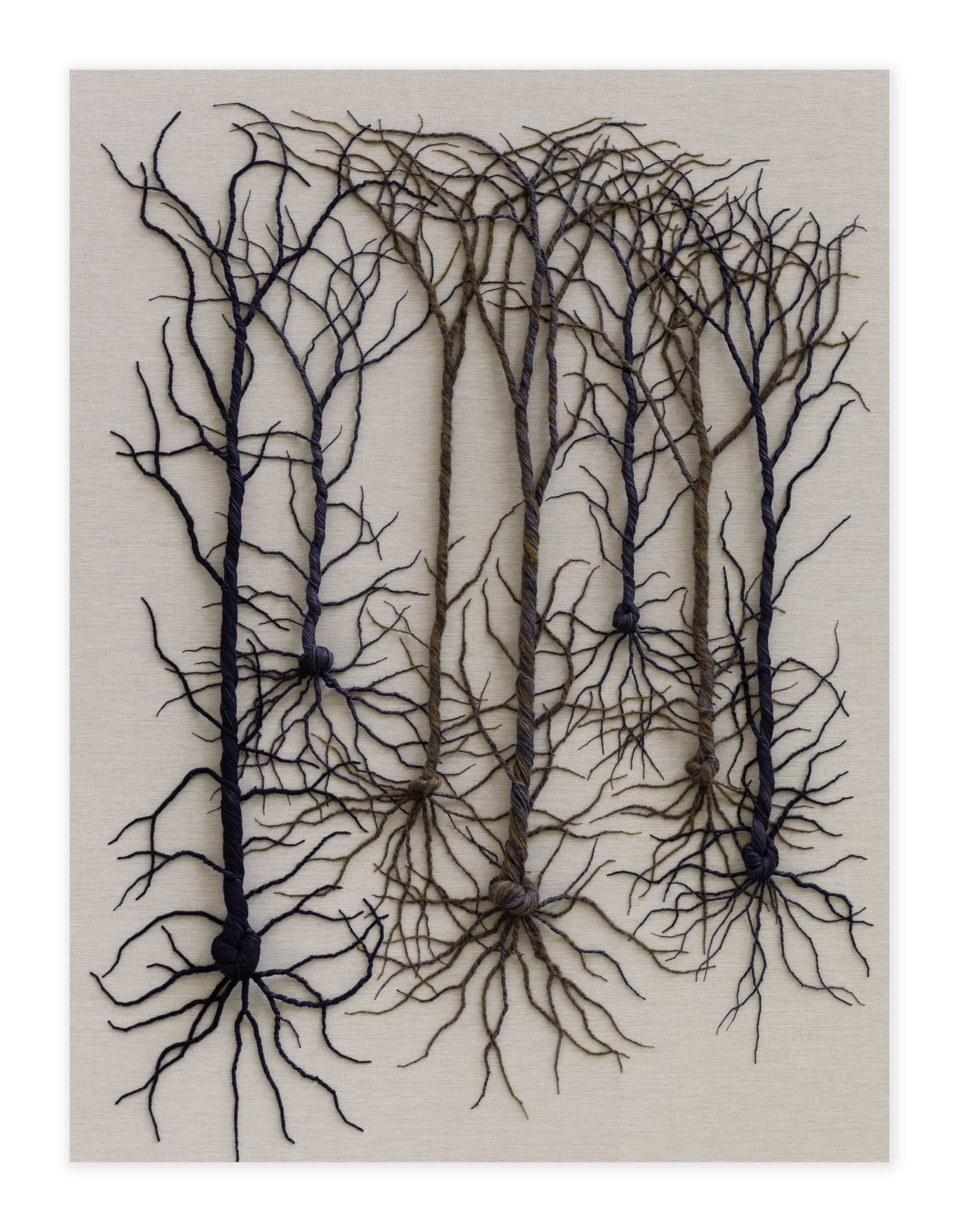 Janaina Mello Landini, Ciclotrama 358 (bosque neural), 2024