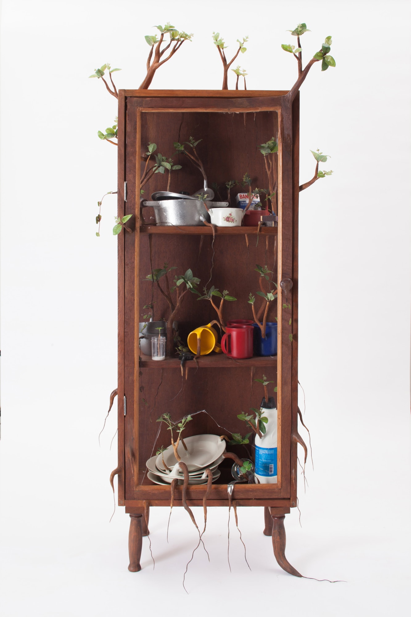 Camille Kachani, Sem título, 2015